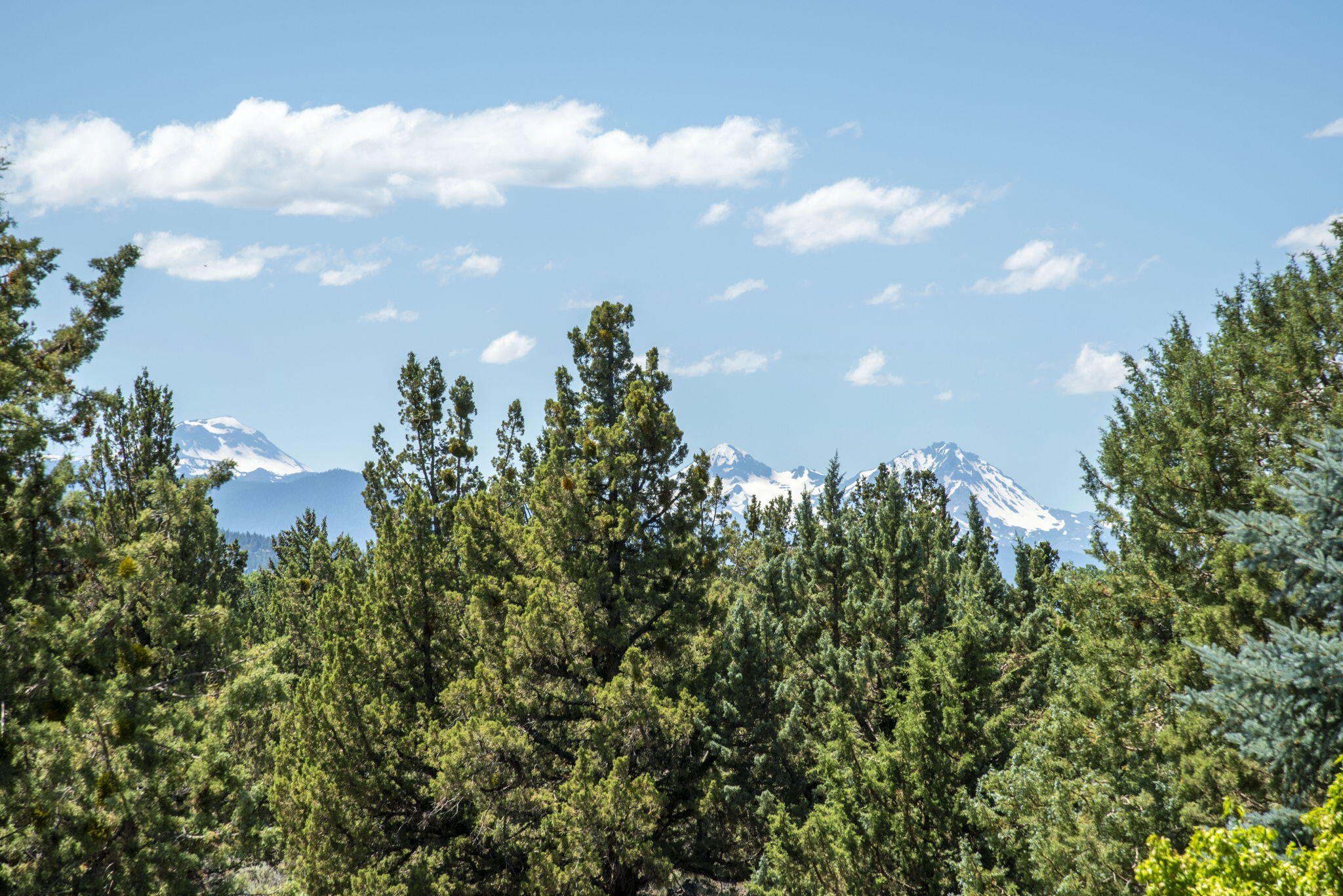 Los Serranos - Residential