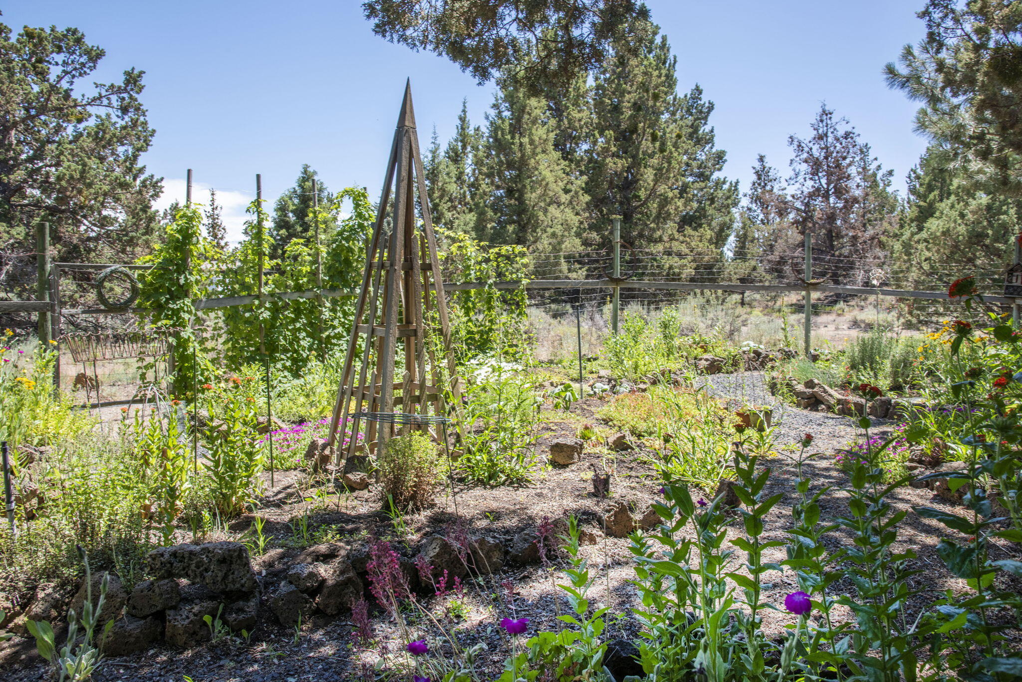 Los Serranos - Residential