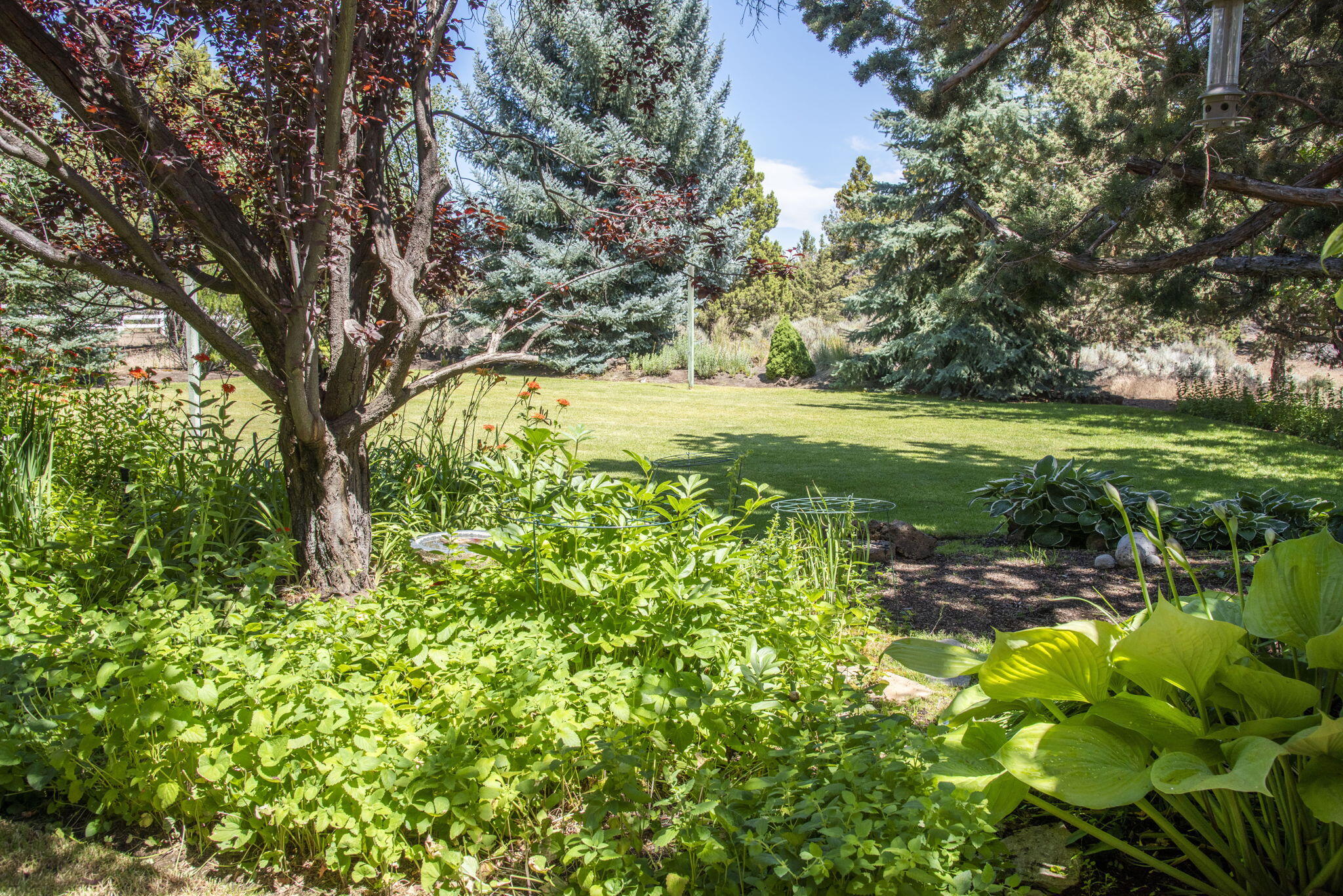 Los Serranos - Residential