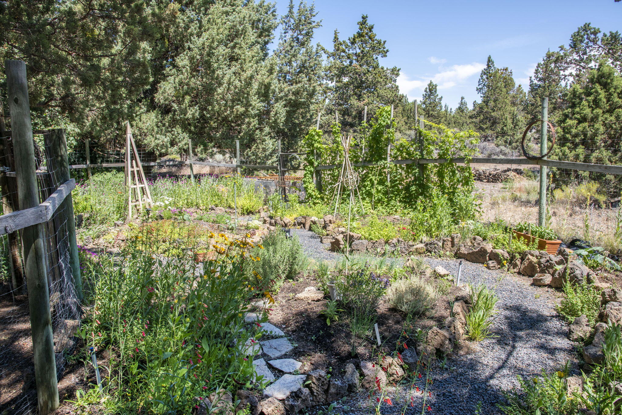 Los Serranos - Residential