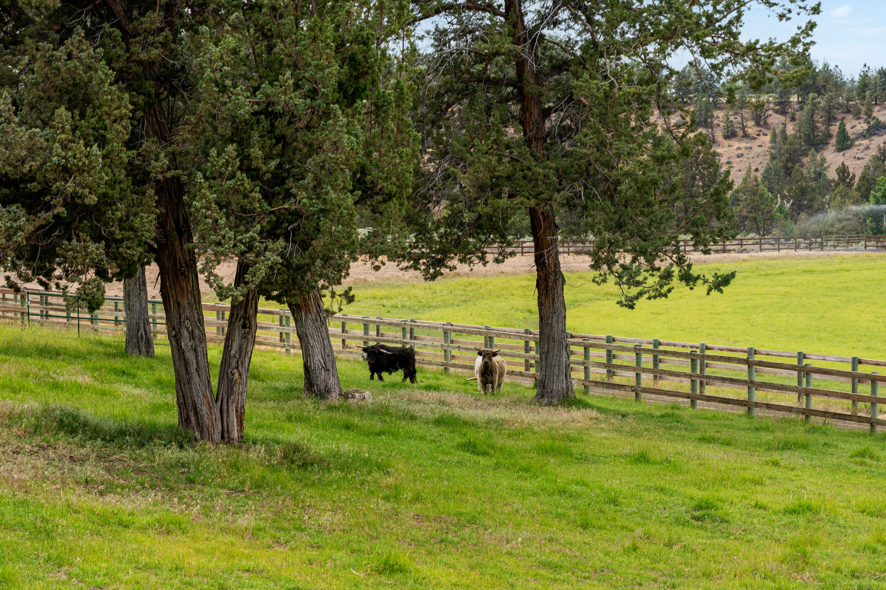 Deschutes River Ranc - Residential