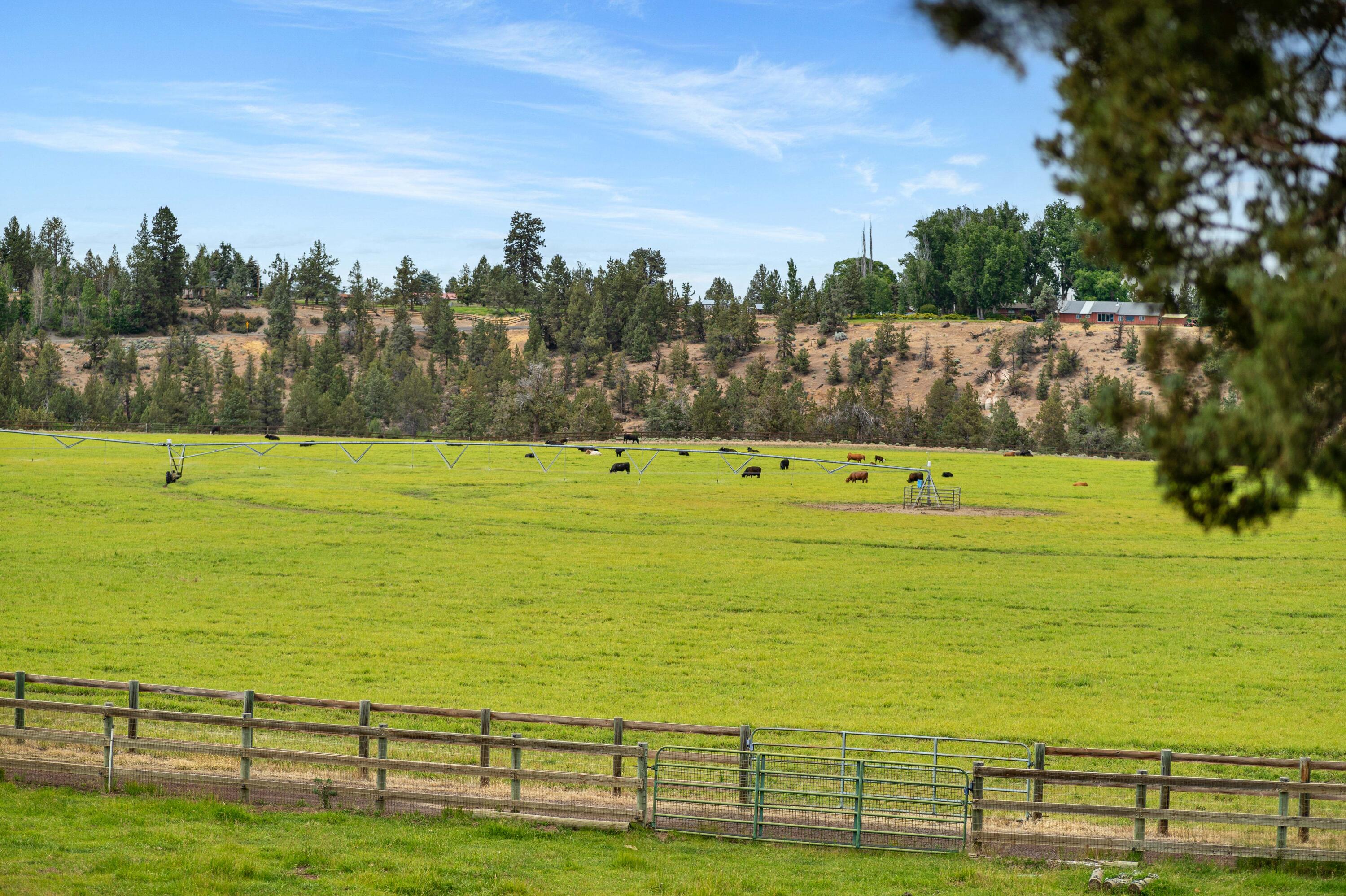 Deschutes River Ranc - Residential
