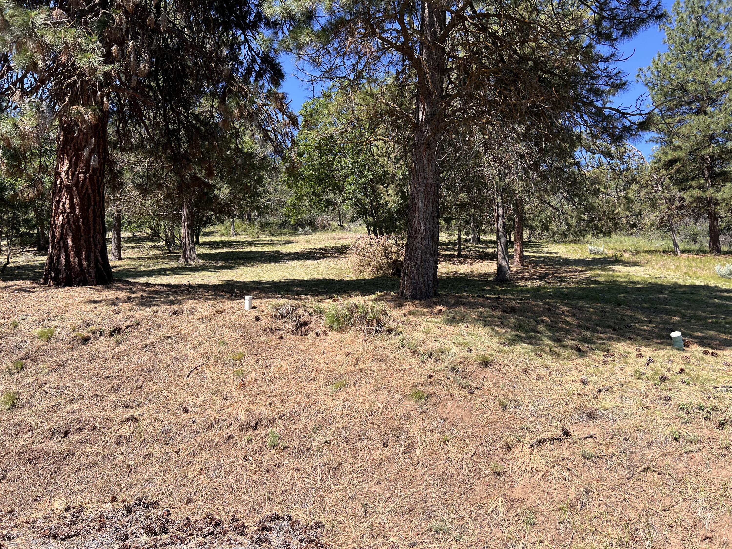 Running YResort - Land