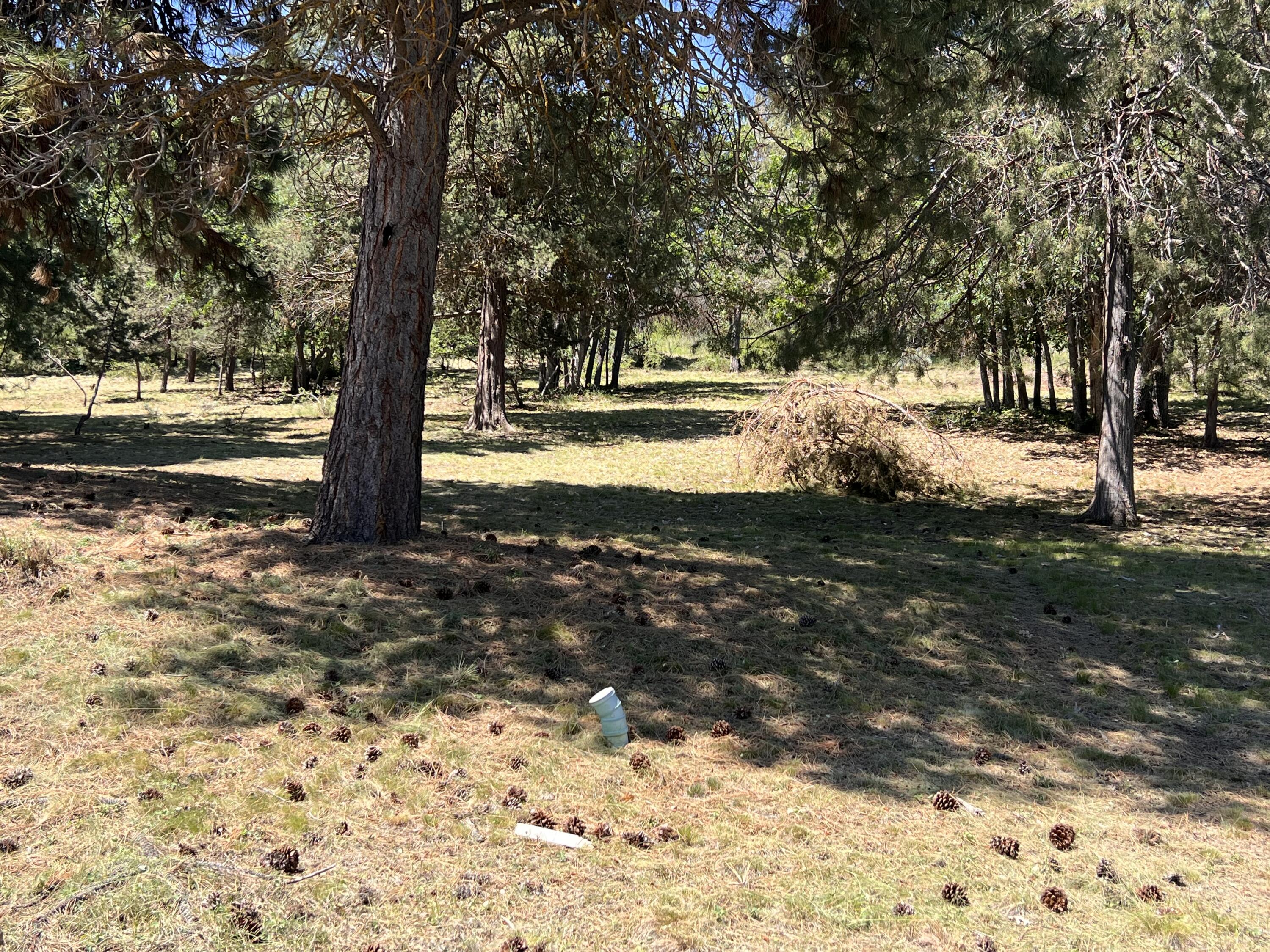 Running YResort - Land