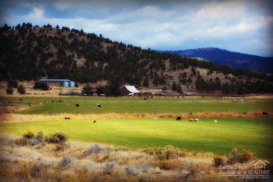 The perfect combination; rich in history with an excellent Central Oregon location! This ranch is a must see and a definite bucket list contender. Johnson Creek Ranch sits on 570 acres that include 215 of irrigation, working corrals, barn, shop, hayshed, two homes and its own private lake. Historically, Johnson Creek Ranch has been a successful working cattle and hay ranch and offers one of the best locations for convenience and privacy.