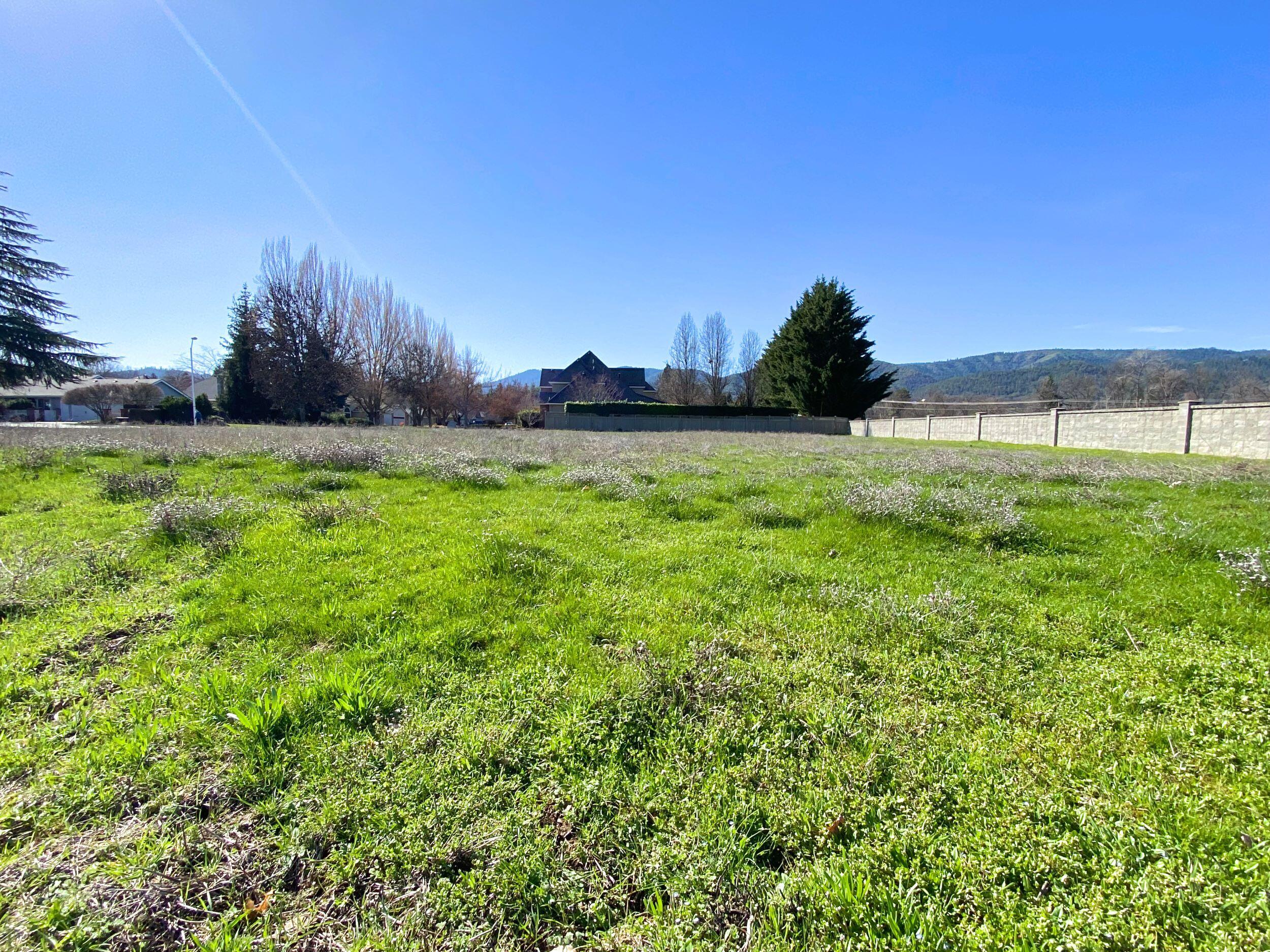 Jacksonville Estates - Land