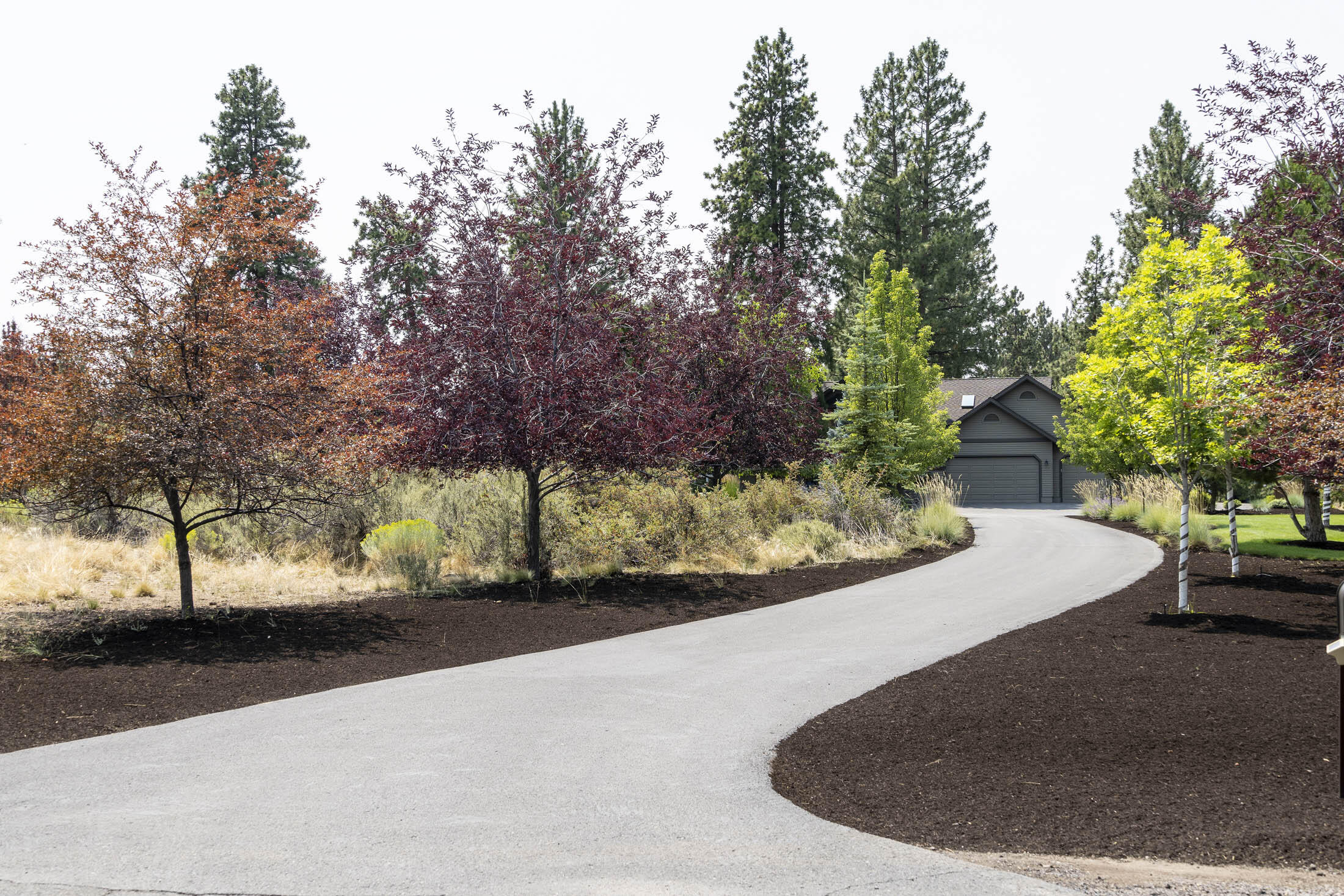 Woodside Ranch - Residential