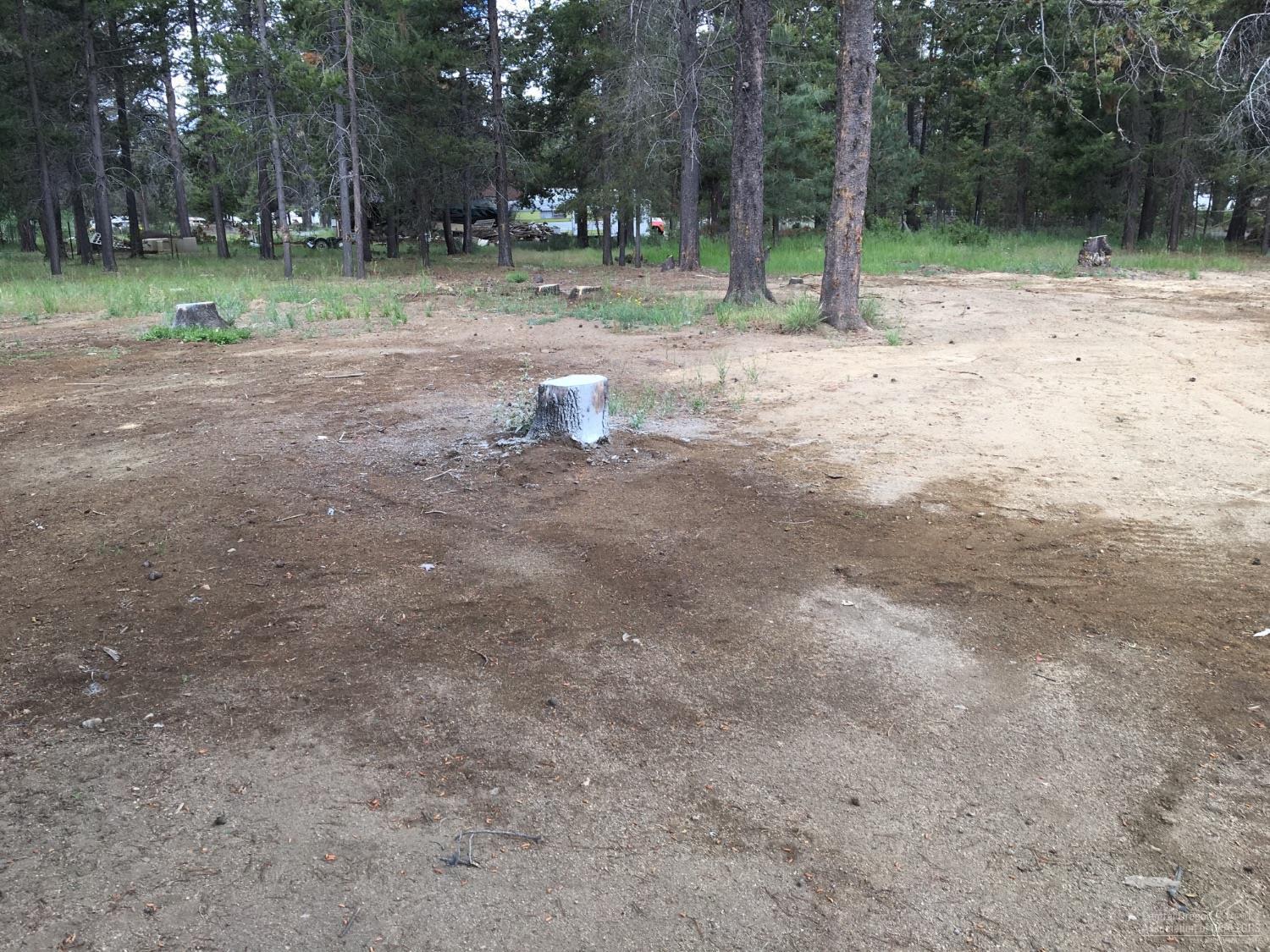 Forest View - Residential