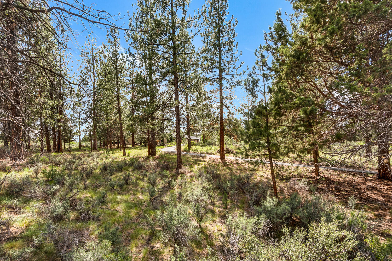 Woodside Ranch - Residential