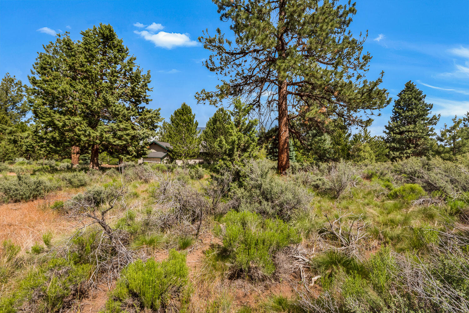 Woodside Ranch - Residential