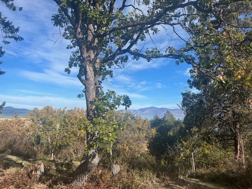 INCREDIBLE LAKE VIEWS FROM THIS DRAMATIC SITE! Located at the Running Y Resort, overlooking Klamath Lake, this home site offers a panorama of views including snowcapped Mt. Scott, scenic Buck Island and the stunning blue water of the lake.  Over 3/4 acre, there is a dramatic drop off with a natural building site near the road.  The owner of this site has a vision for this home site and would share with an interested party. The Running Y Resort is located in sunny Klamath County, and offers an Arnold Palmer designed golf course, a Sports and Fitness Center with outdoor sports courts, an on-site hotel plus multiple restaurants. Enjoy the lifestyle - build your dream home now!