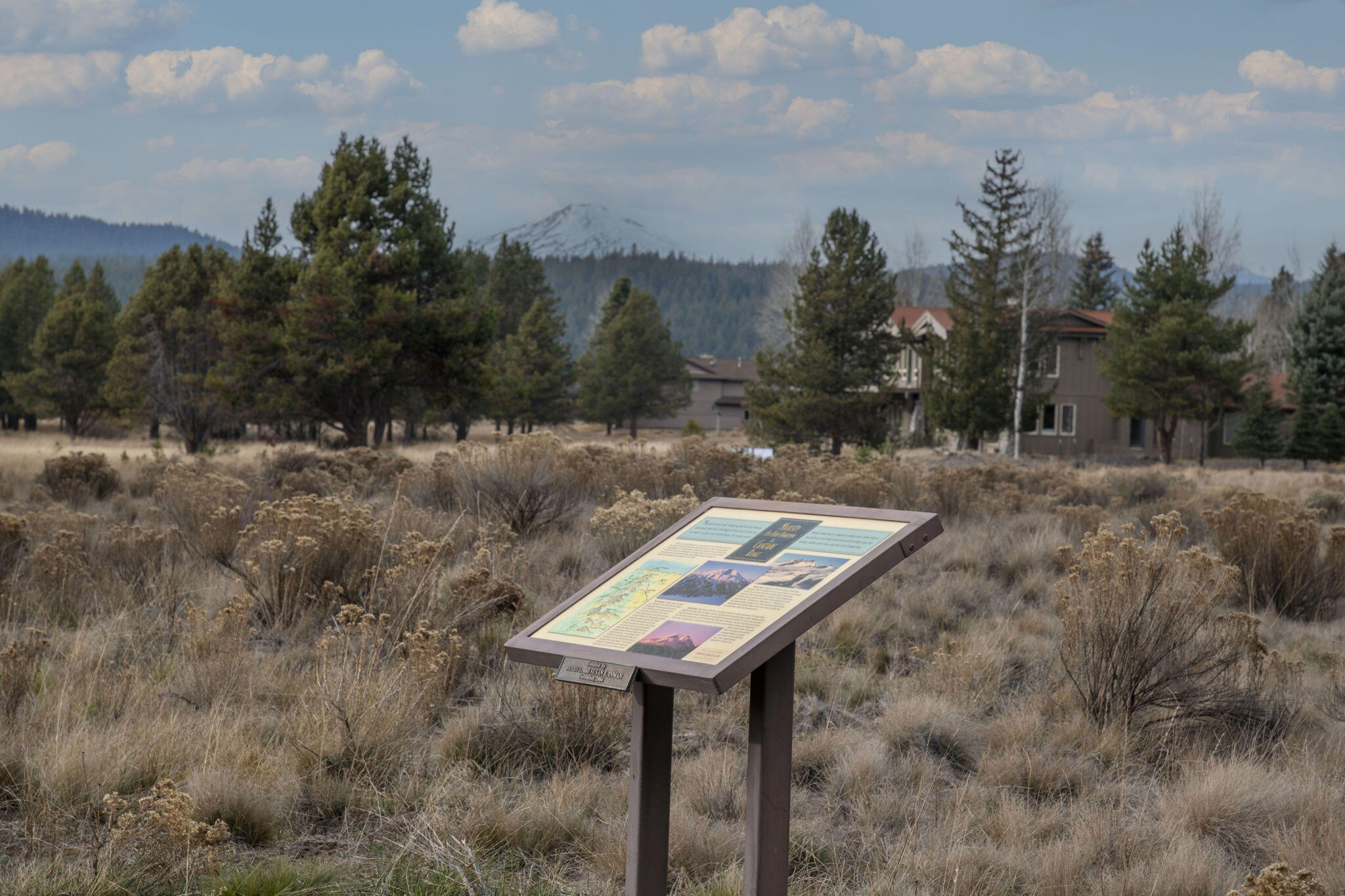 Meadow House - Residential