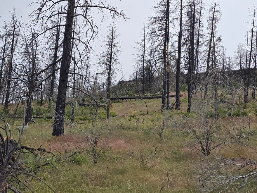 Discover the perfect canvas for your dream home on this spacious 1.53-acre residential lot located in the stunning Oregon Pines area! Embrace the beauty of high desert living, surrounded by breathtaking landscapes and outdoor adventures.
42.53733, -121-.38366