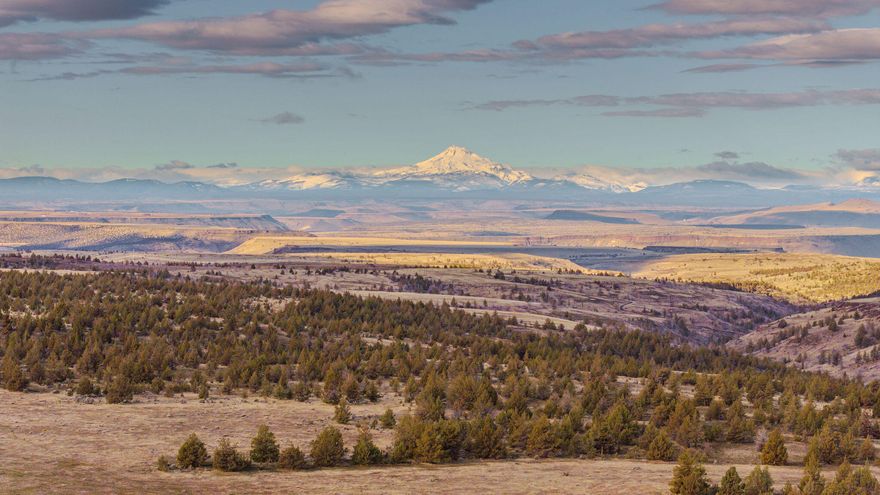 Nearly 50,000± acres of premier Central Oregon cattle and hunting land are available in a single offering. Criterion Ranch includes 33,219± deeded acres and a 15,200± acre BLM grazing permit. With 1,540± irrigated acres, abundant water, and a mild climate, it supports 1,200-1,500 mother cows and strong hay production. Located between Deschutes River, Deep Creek, and Trout Creek, it features Cascade views, trophy wildlife, and fishing for bass, trout, and steelhead. Recreation includes horseback riding, hiking, ATV trails, and more. The ranch boasts a six-bedroom owner's home, multiple ranch houses, cabins, barns, and a banquet hall. A rare turnkey operation with strong income from cattle, hay, hunting leases, guided trips, and events.