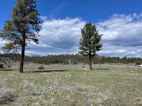 Nagel Ridge Way Lot 18 Beatty OR 97621