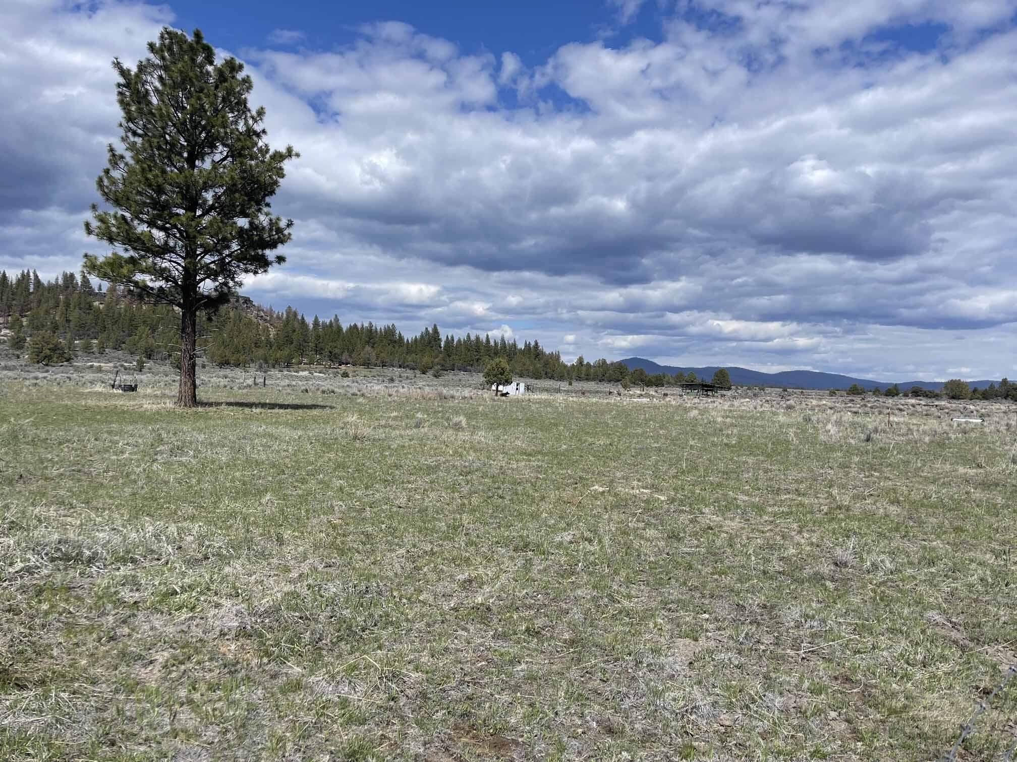 Nagel Ridge Way Lot 18