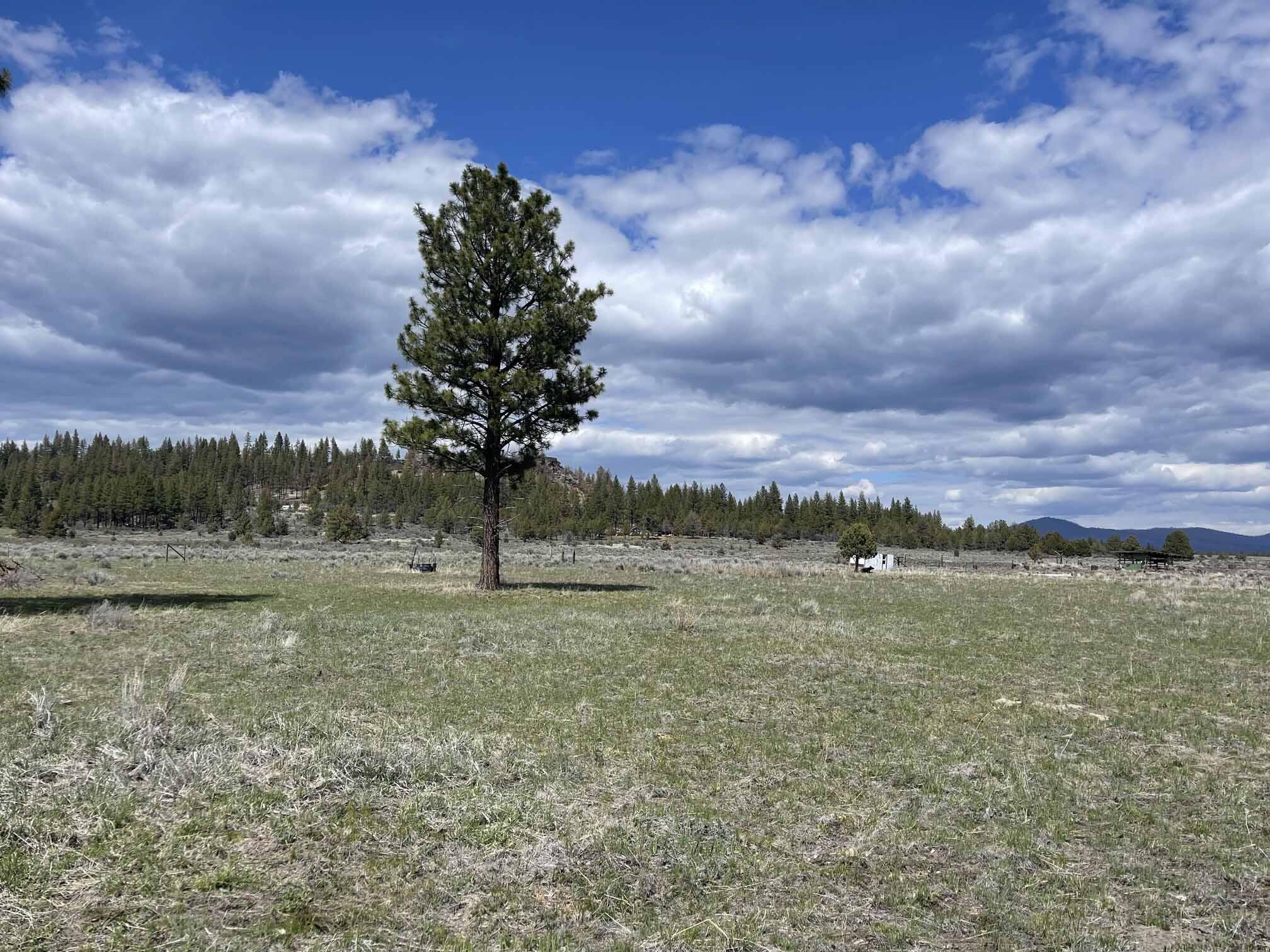 Nagel Ridge Way Lot 18