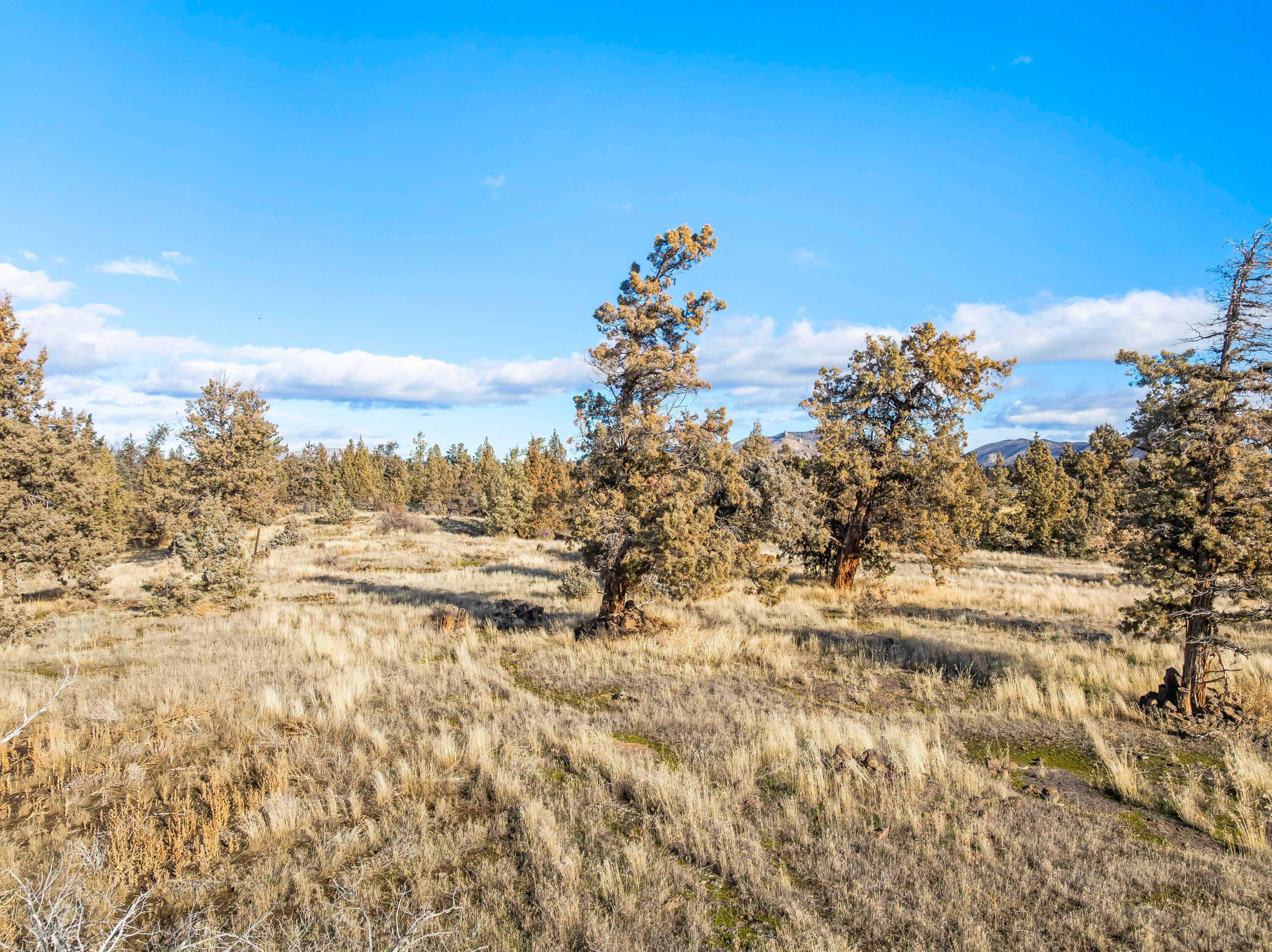 WestwoodA - Residential