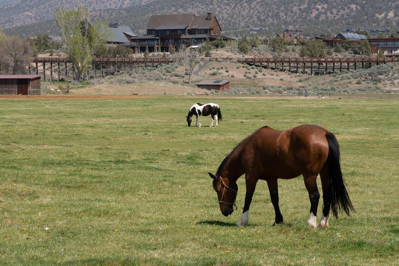 Brasada Ranch - Residential