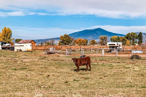 Tiny photo for 3464 NW Rimrock Acres Loop, Prineville, OR 97754 (MLS # 220211163)