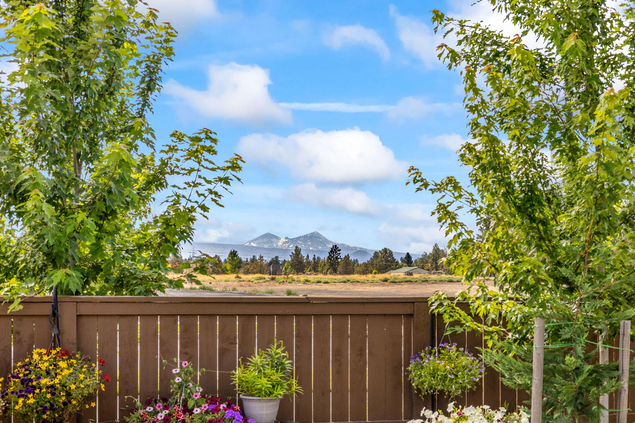 Petrosa - Residential