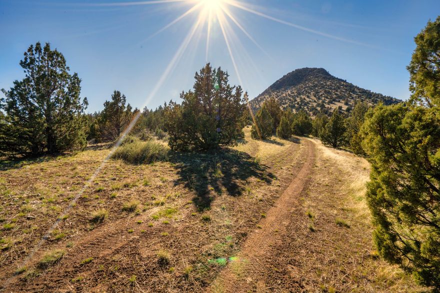Looking to truly get away? This 44.12-acre retreat outside Mitchell, Oregon offers unmatched peace, privacy, and natural beauty. Nestled between Black Butte and White Butte, this ''top of the hill'' sanctuary features 360° views of snow-capped mountains, sweeping valleys, and even the peaks of the Painted Hills and Mt. Adams. Enwrapped in its own private juniper forest with dramatic rock outcroppings, it's perfect for exploring. Two build sites offer stunning vantage points and endless possibilities—camp, stargaze, or create your on or off-grid dream. Less than an hour from Prineville, yet remote enough to require a 4x4 (and maybe a snowmobile in winter), this land offers true seclusion and raw Oregon wilderness. Ready for adventure? Watch video included in Photos tab.