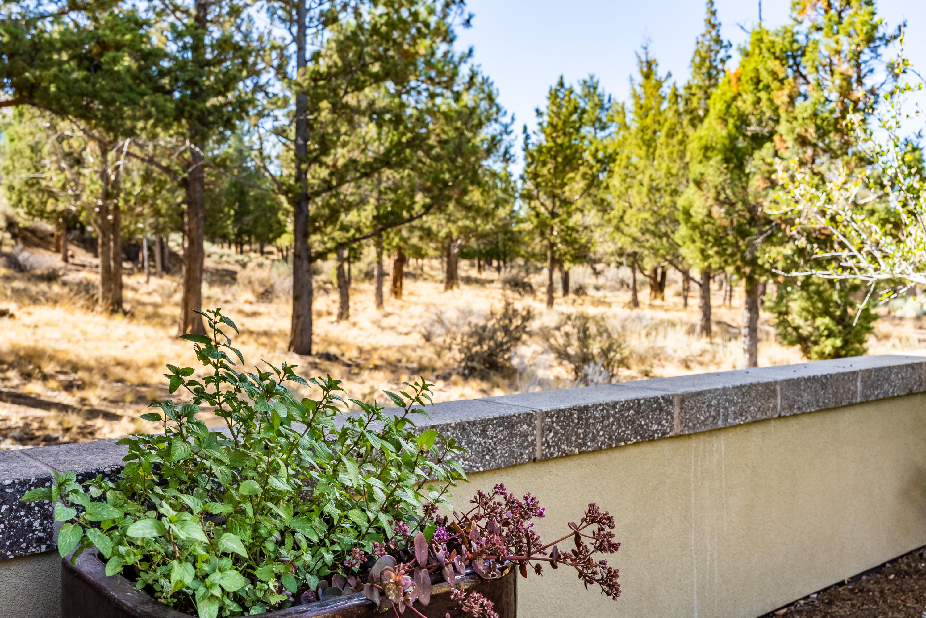 North Rim - Residential