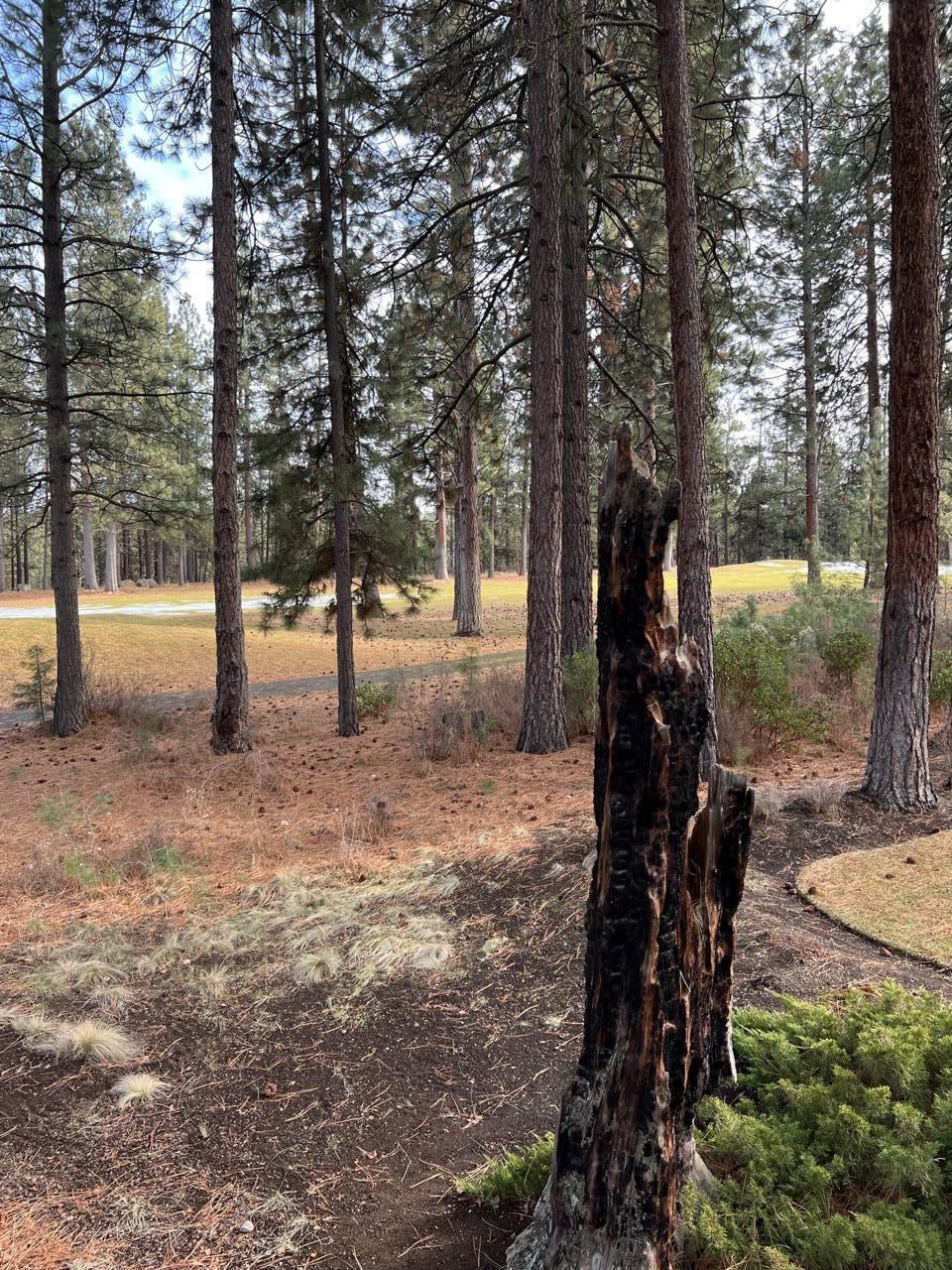 7th Mtn Golf Village - Residential