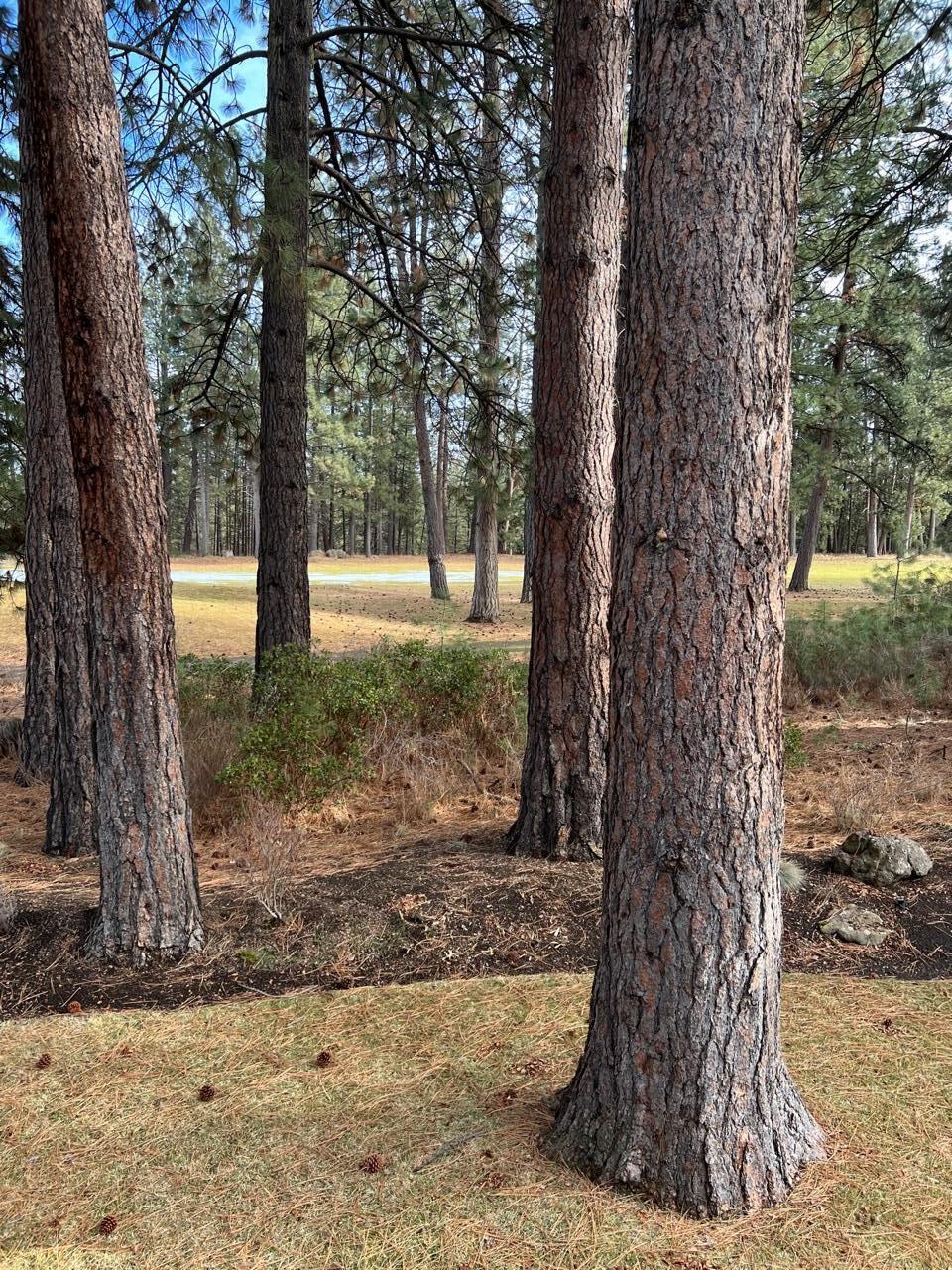 7th Mtn Golf Village - Residential