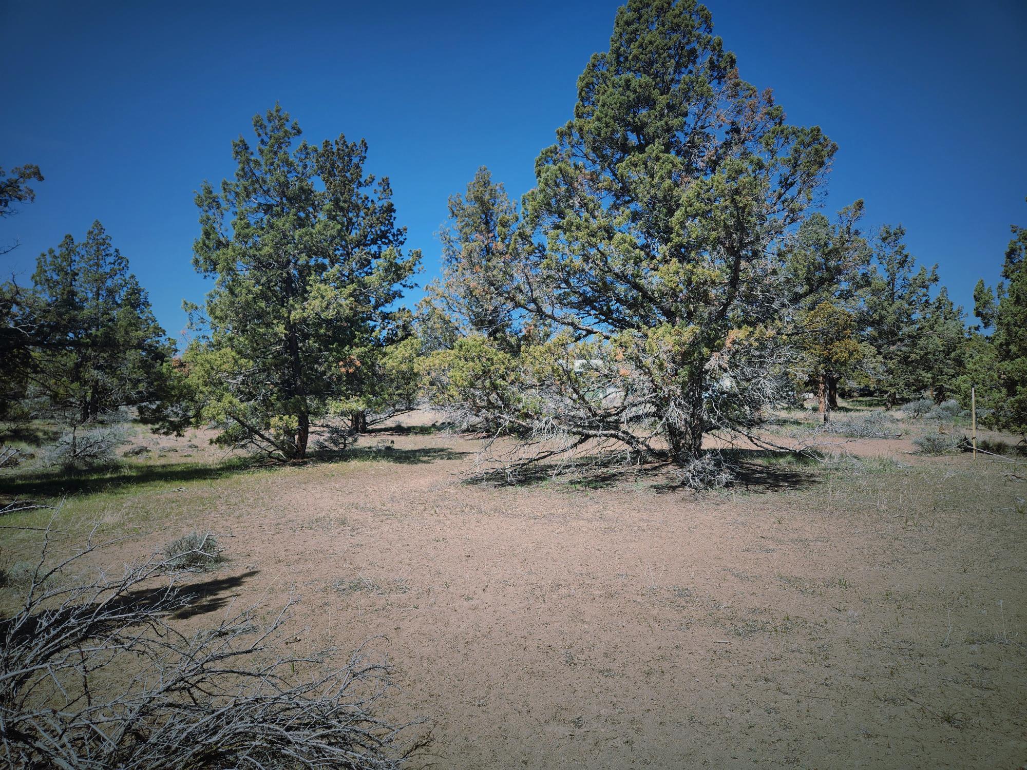 Whispering Pines - Land