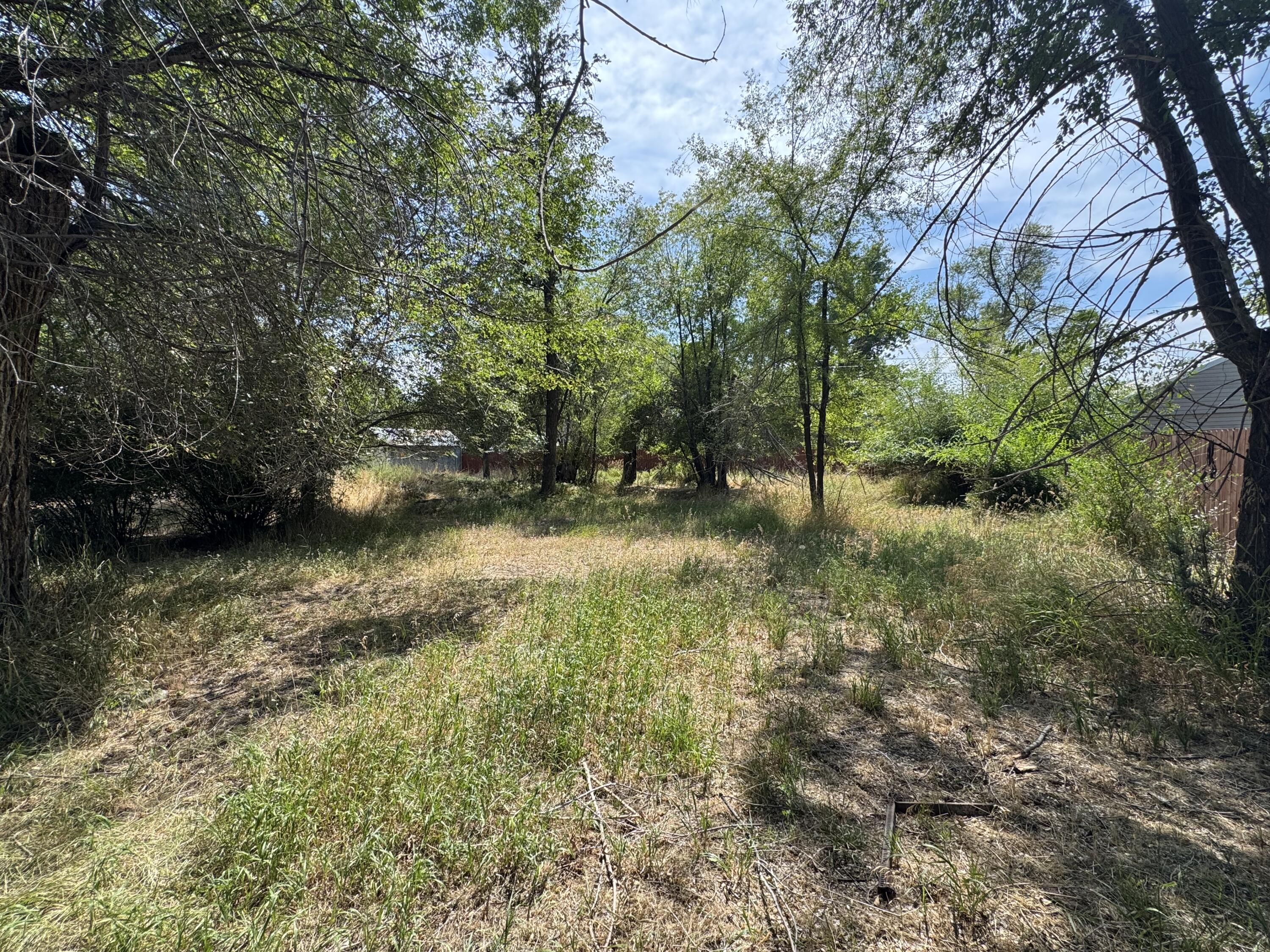 Burns Original Town - Land