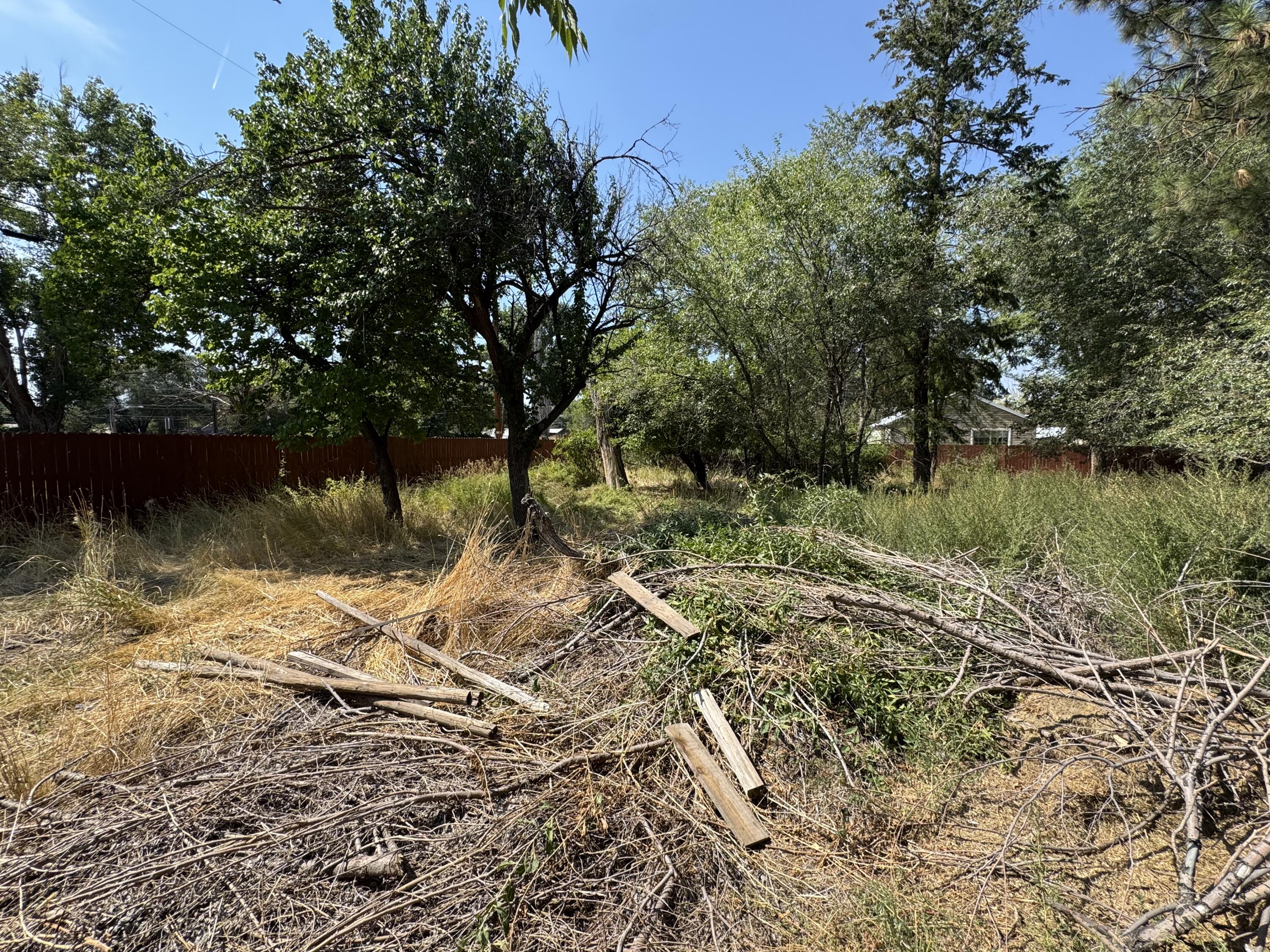 Burns Original Town - Land