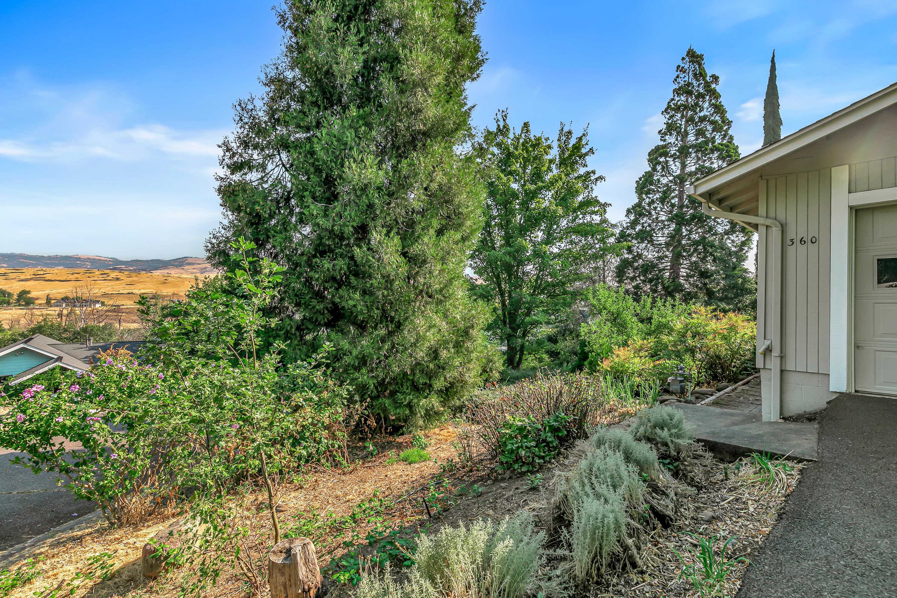 Quiet Village - Residential