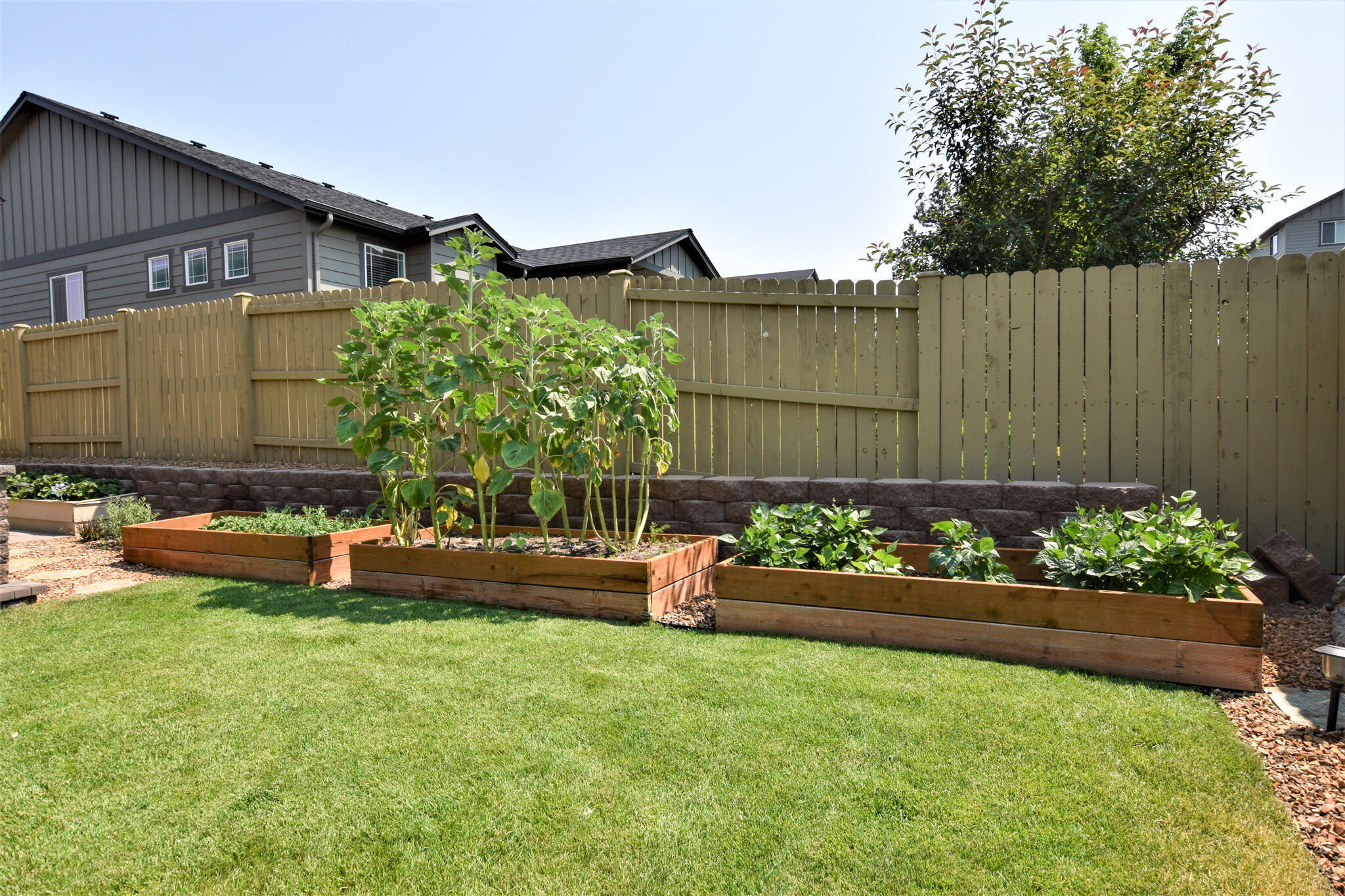 Summit Crest - Residential