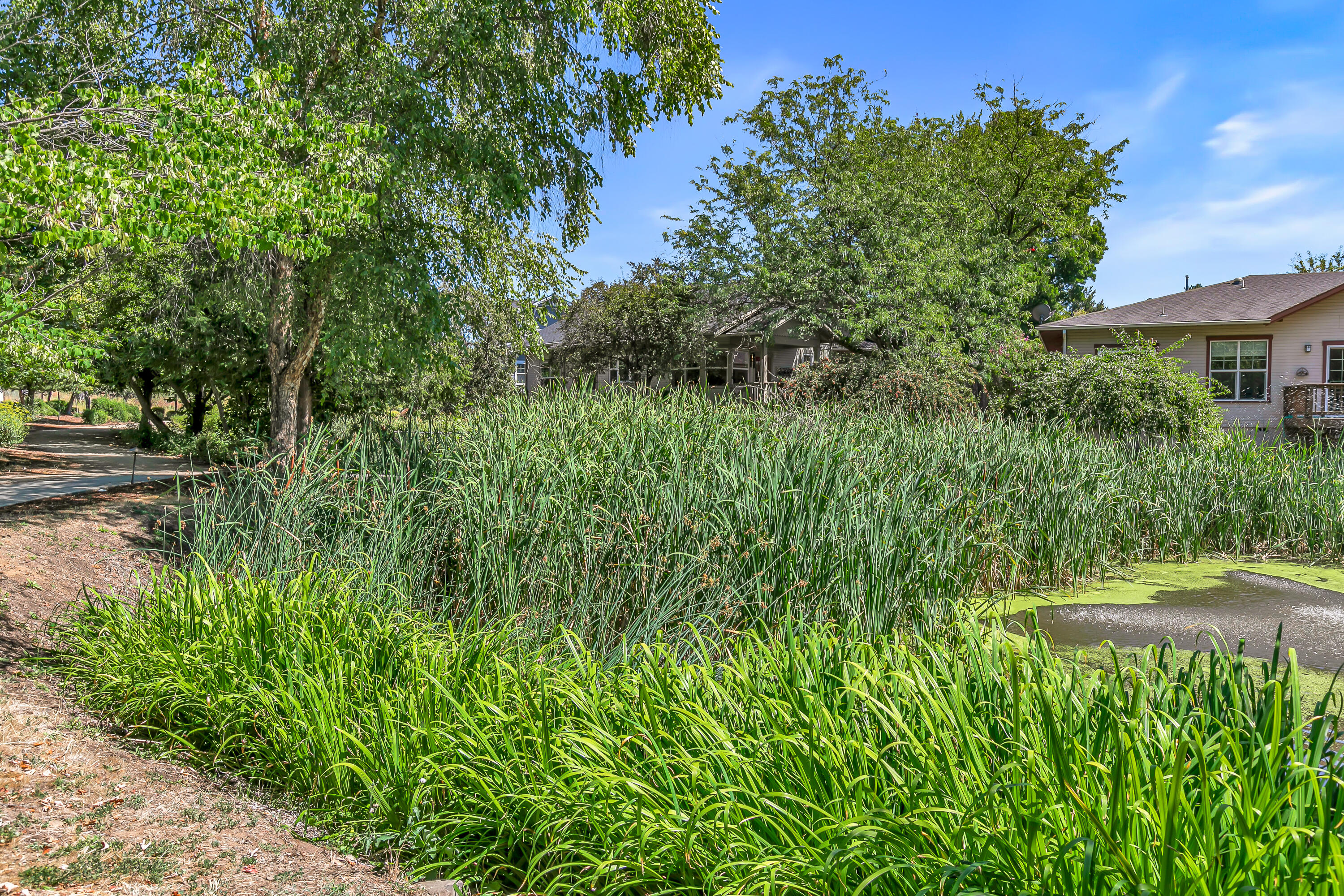 Mountain Meadows Subdivision Phase 2 - Residential