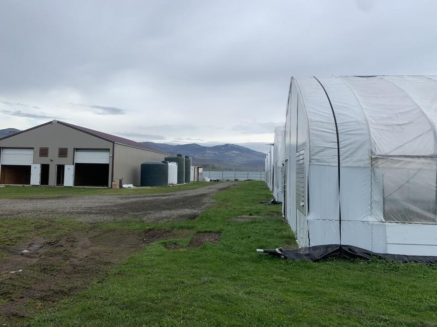 ''Comp Only'' for statistical purposes only.