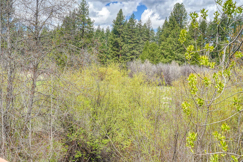 Metolius Meadows - Residential