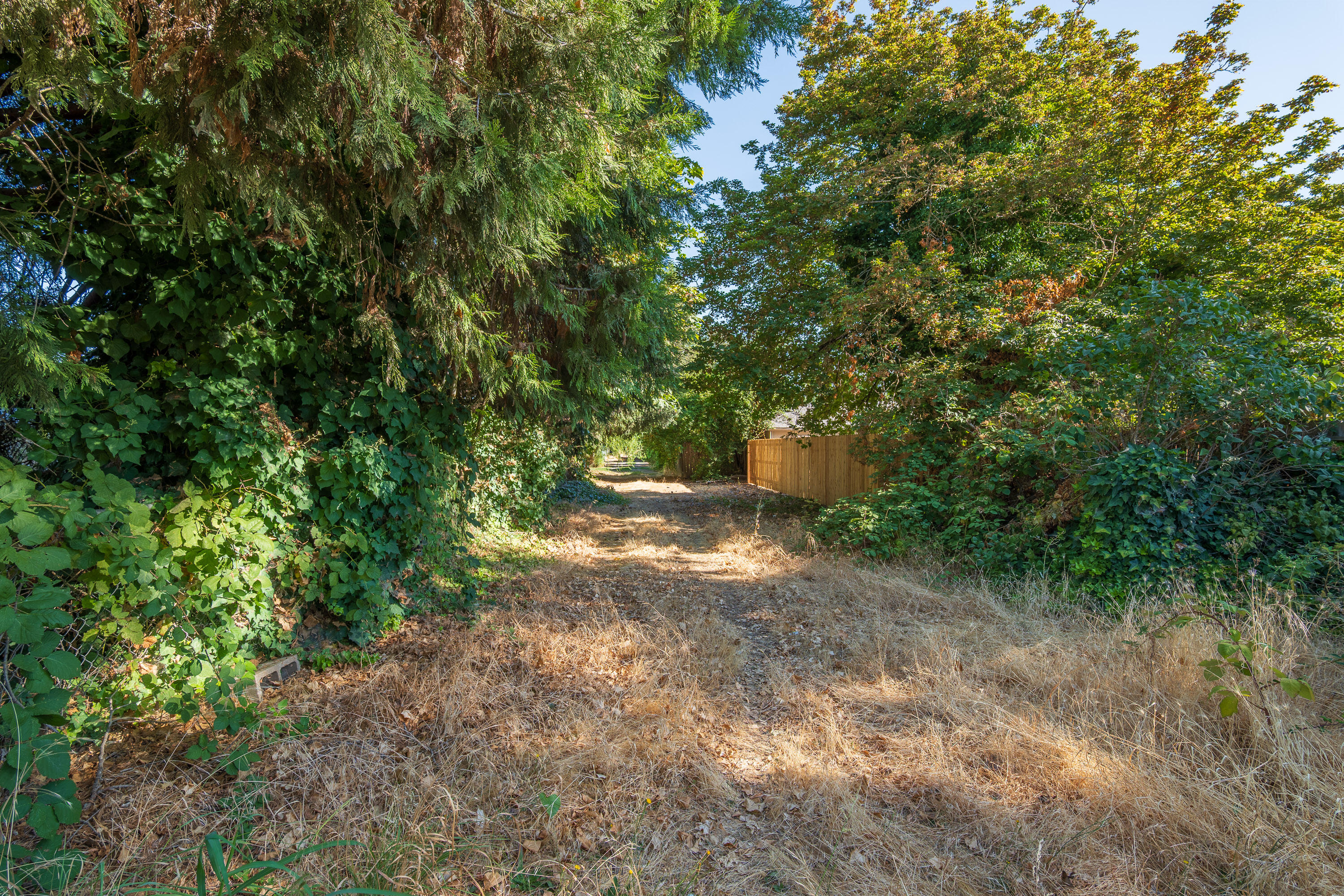 Jasmine Park Subdivision - Residential