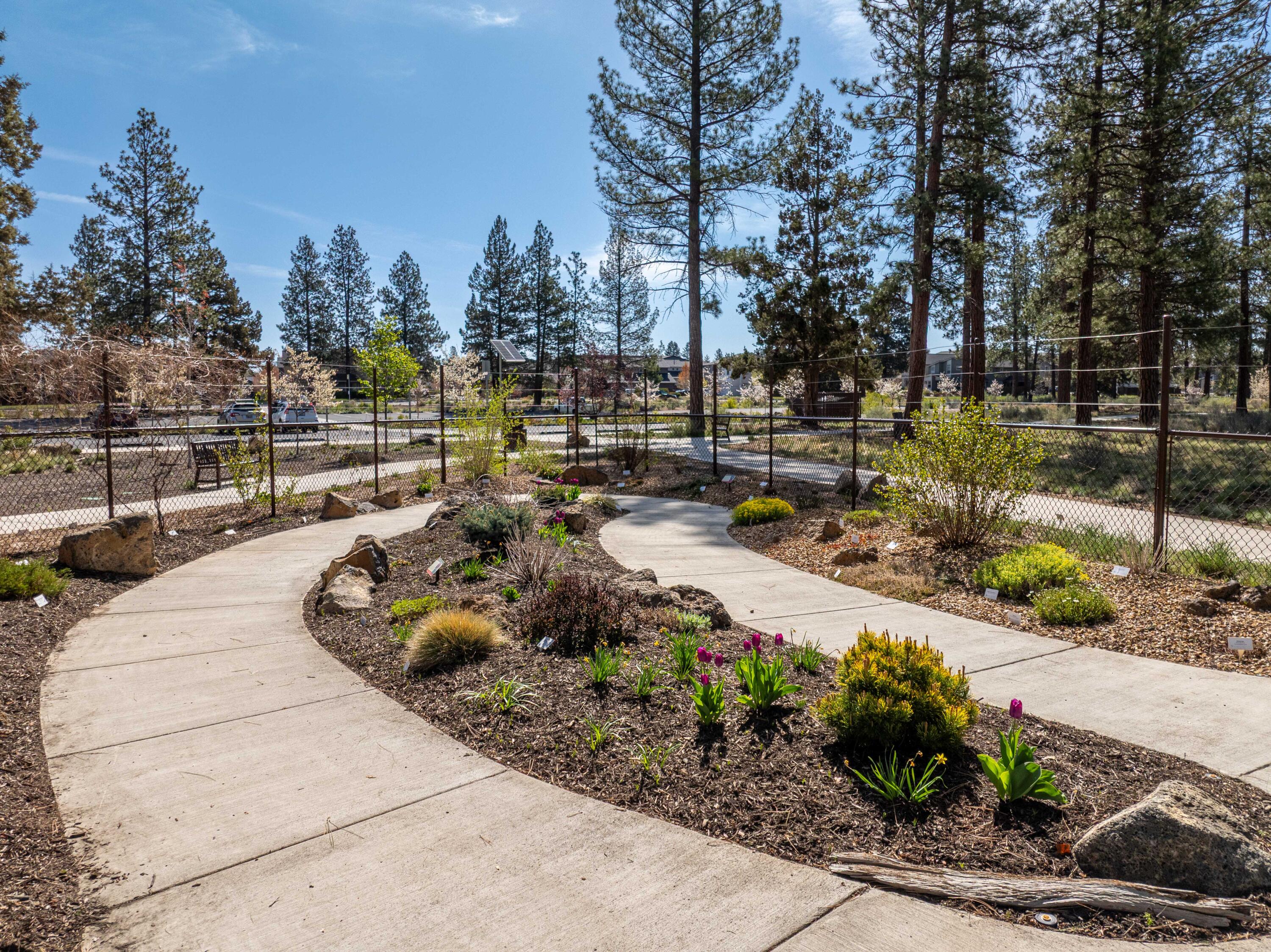 Larkspur - Residential