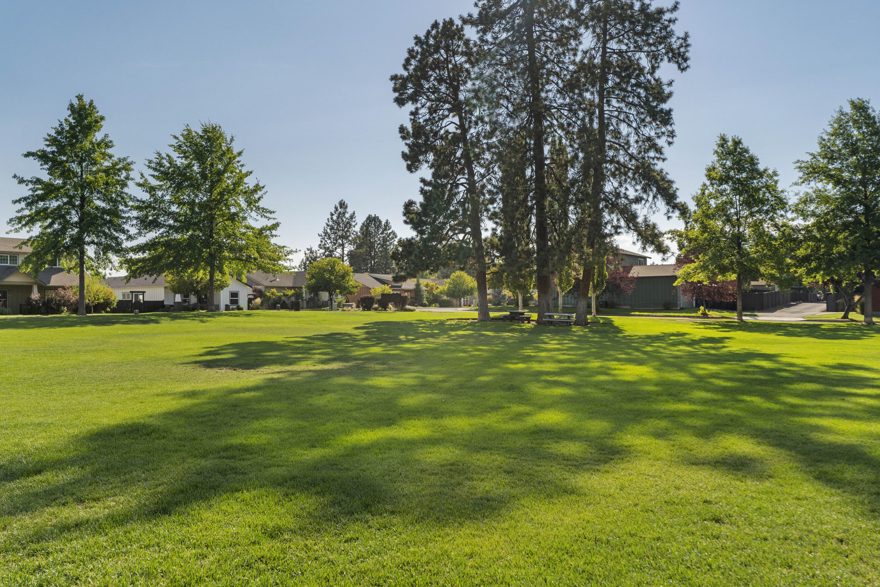 Larkspur - Residential