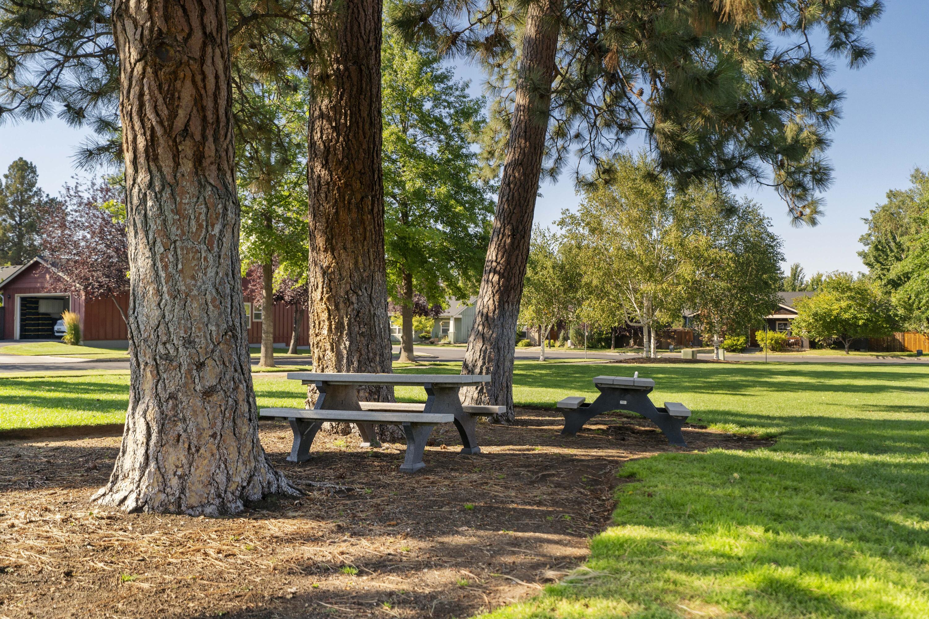 Larkspur - Residential