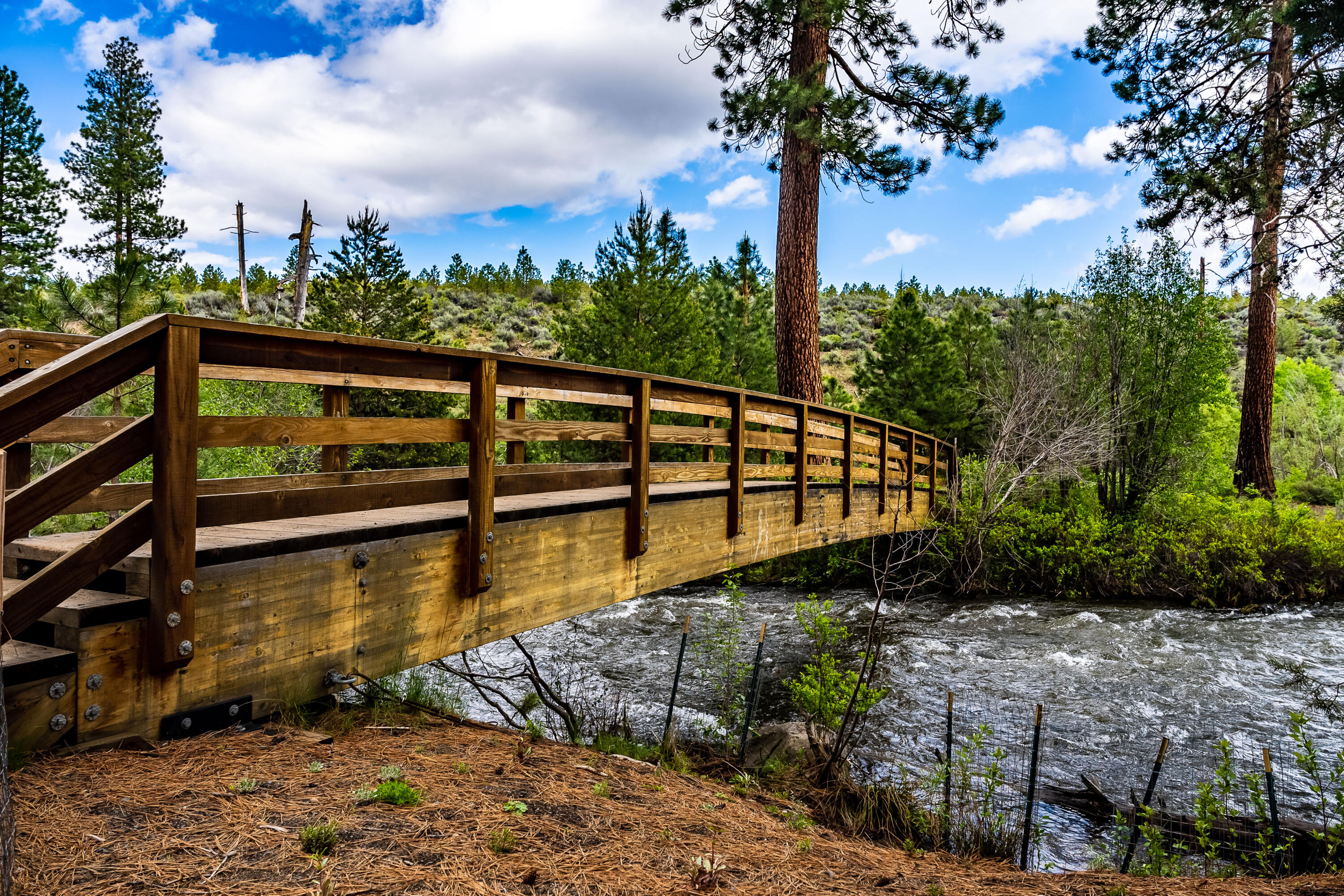 Three Pines - Residential