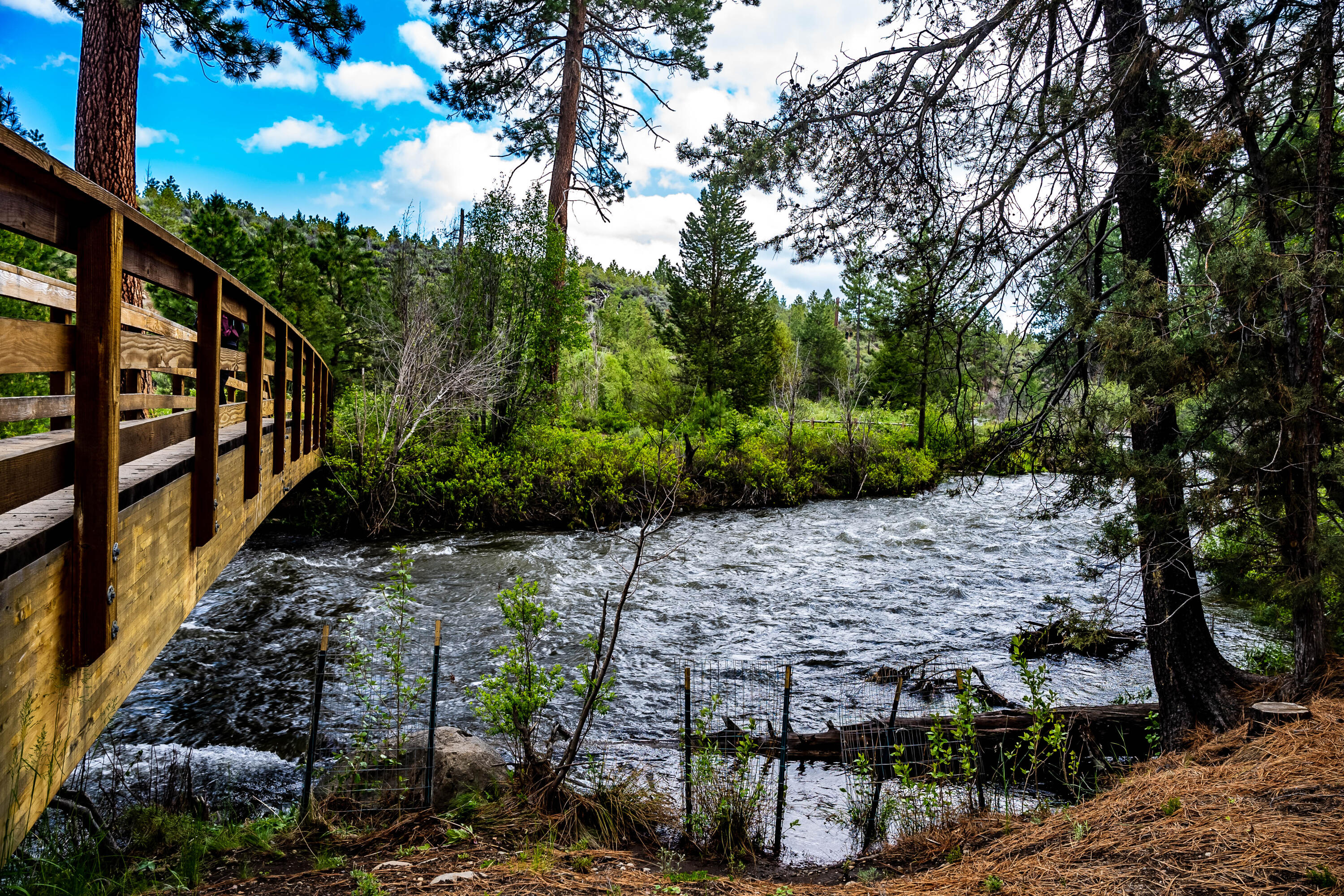 Three Pines - Residential