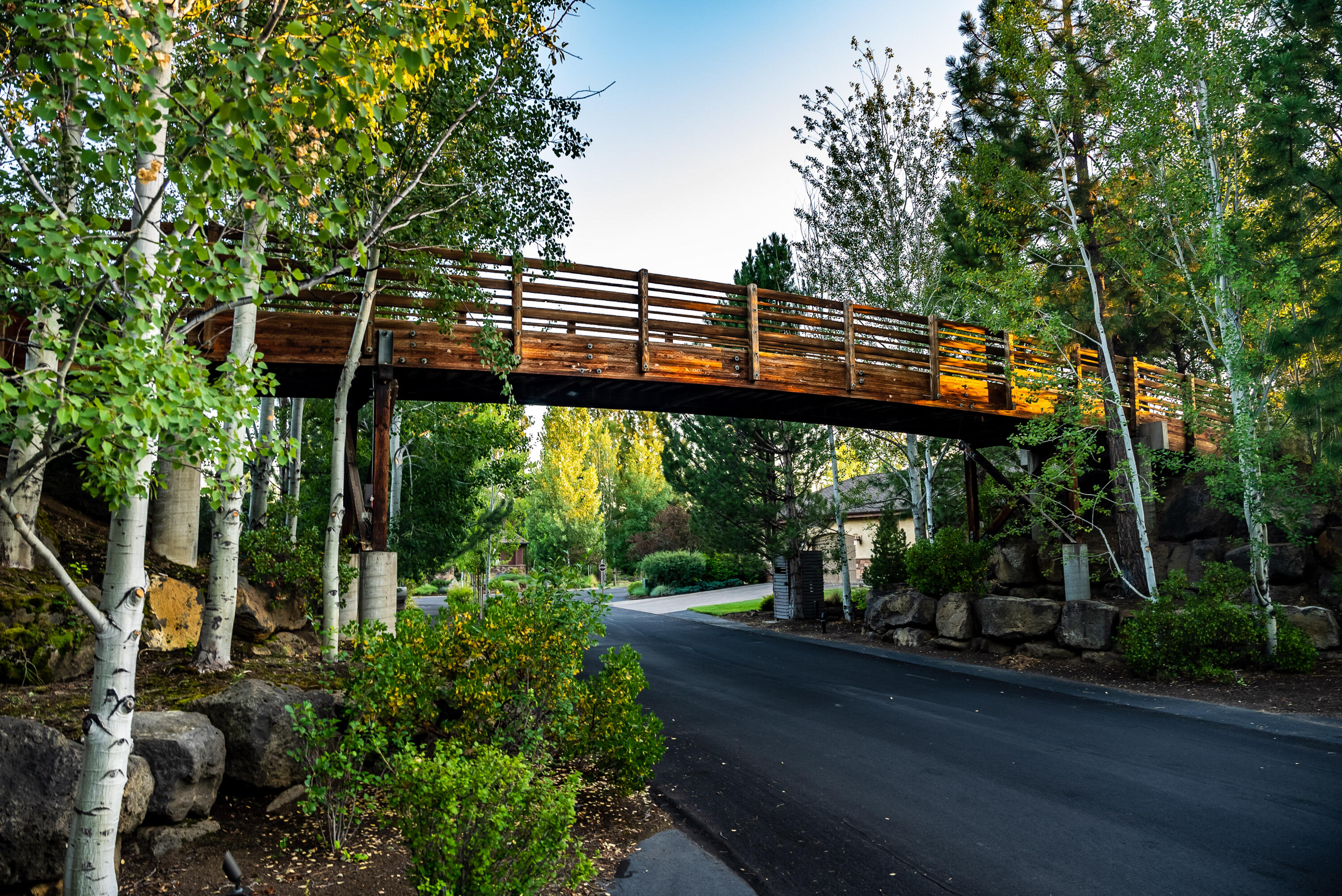 Three Pines - Residential