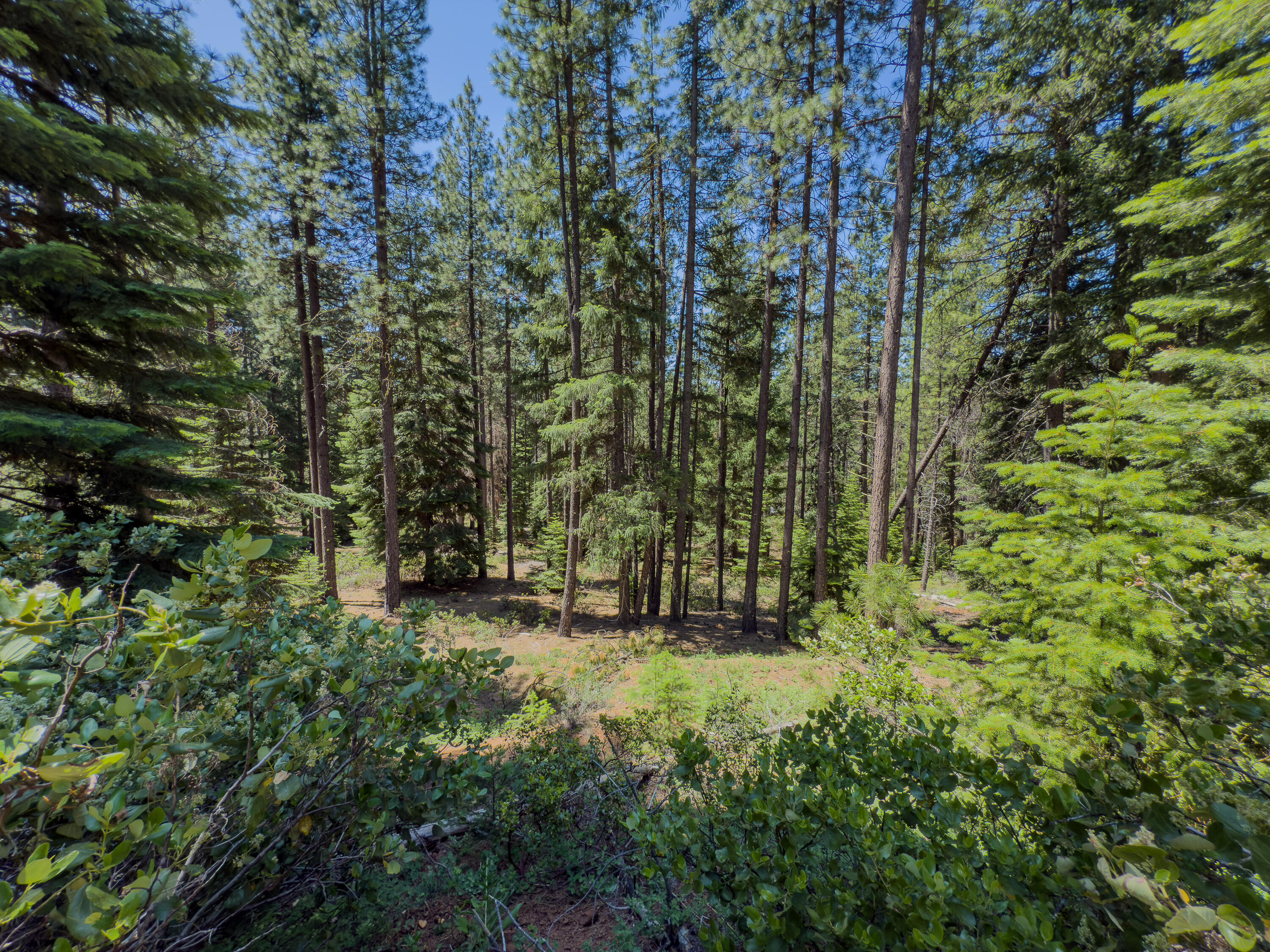 Mountain Lakes Homesites - Land