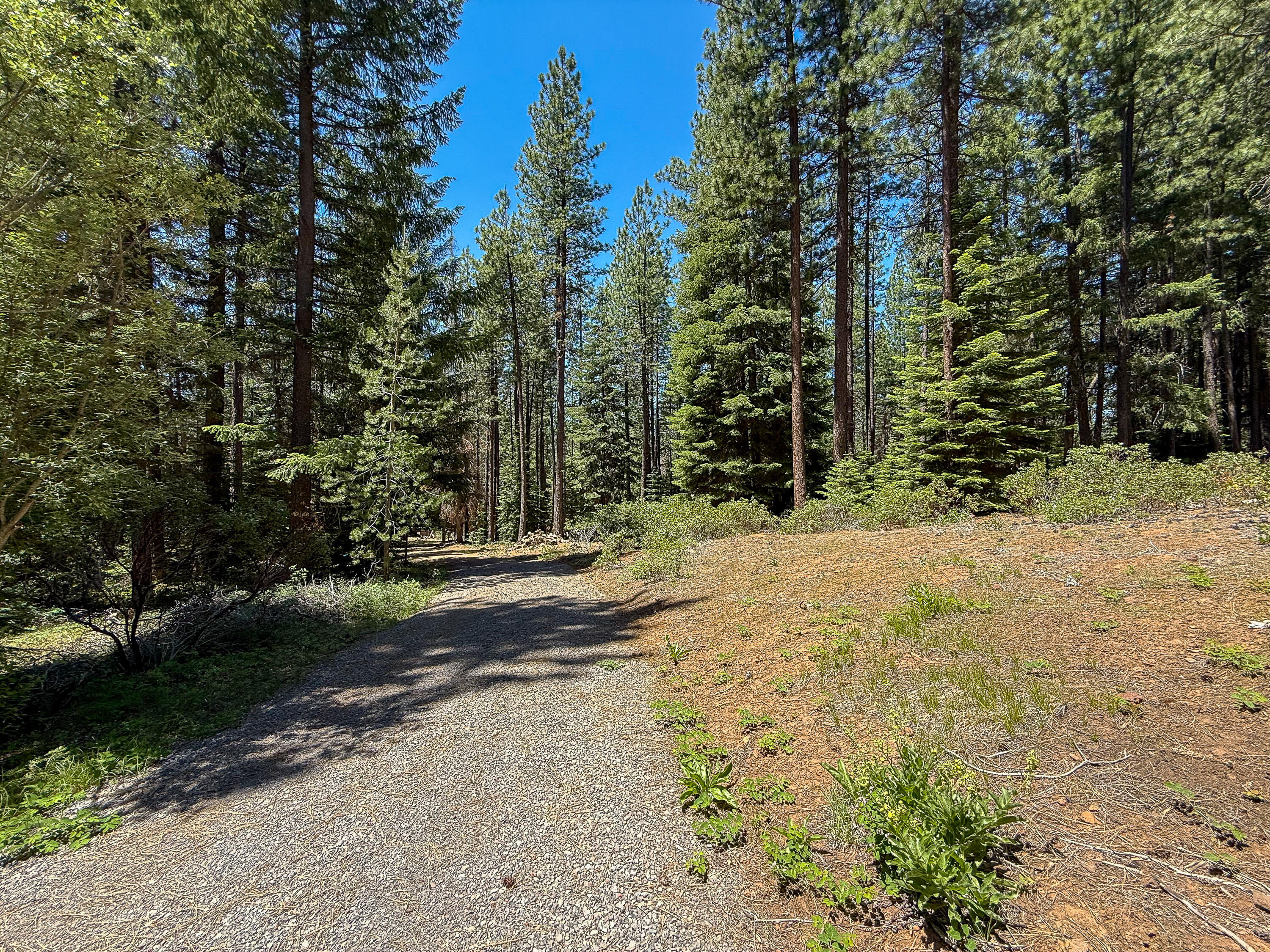 Mountain Lakes Homesites - Land