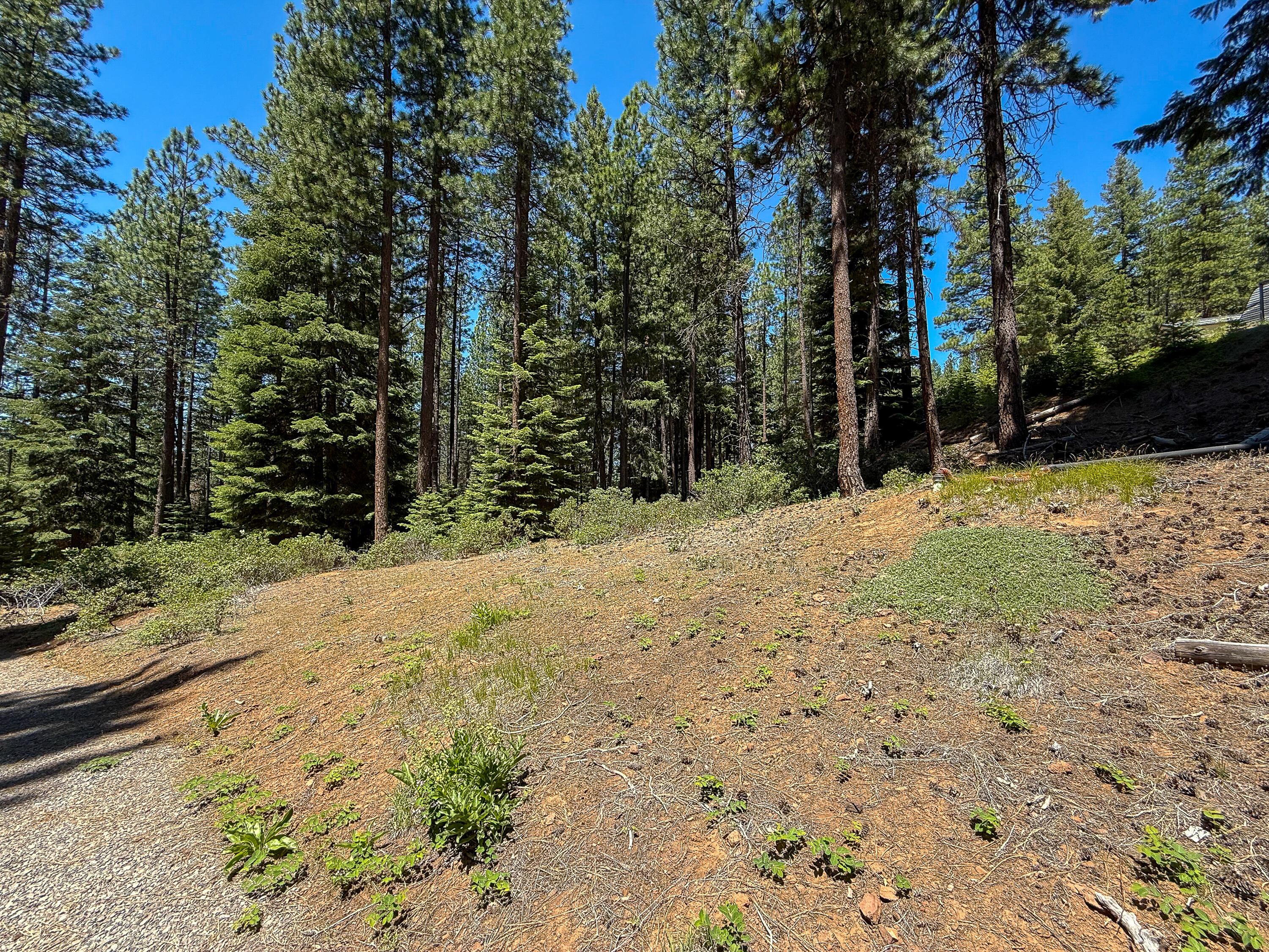 Mountain Lakes Homesites - Land