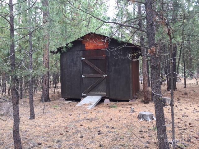 Ponderosa Pines - Land