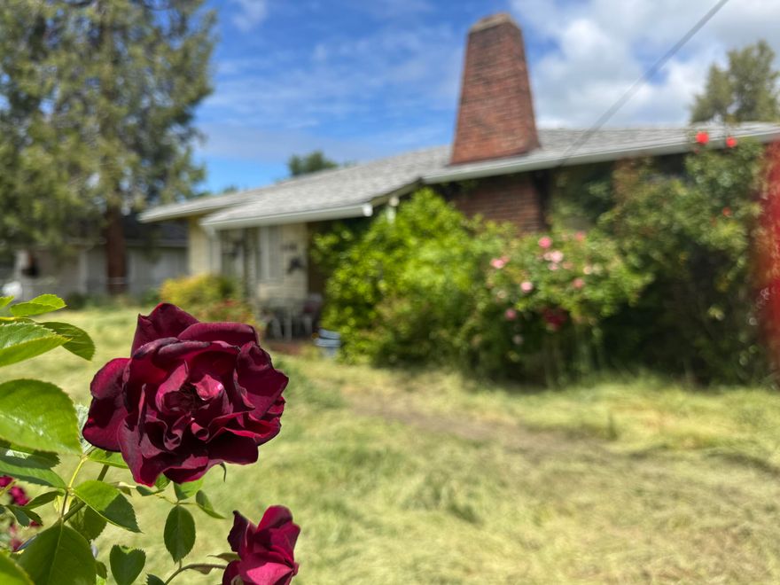 This original tiny home was built in 1952, can use some TLC. Good location to downtown Grants Pass, banks, shopping, and close to parks. Open kitchen, two bedrooms, indoor utility room, and can be financed conventional. Lot is .21 of an acre, completely fenced, mature roses, with off street parking in the back of the house. Assessed value is $235,000.