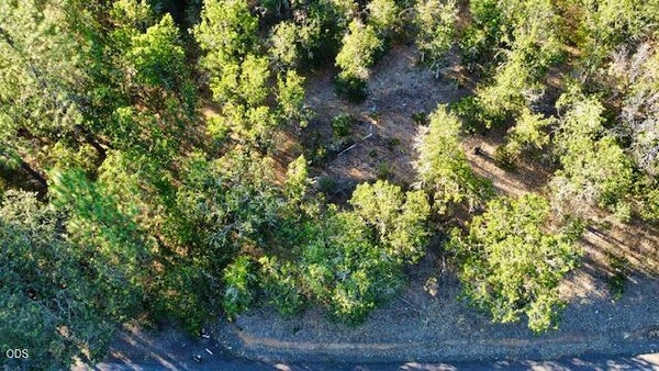 STATE HIGHWAY 238, JACKSONVILLE, OR 97530 - Image dda94b3ee9d96ab1e1b896590d5d9e2e/1136108515